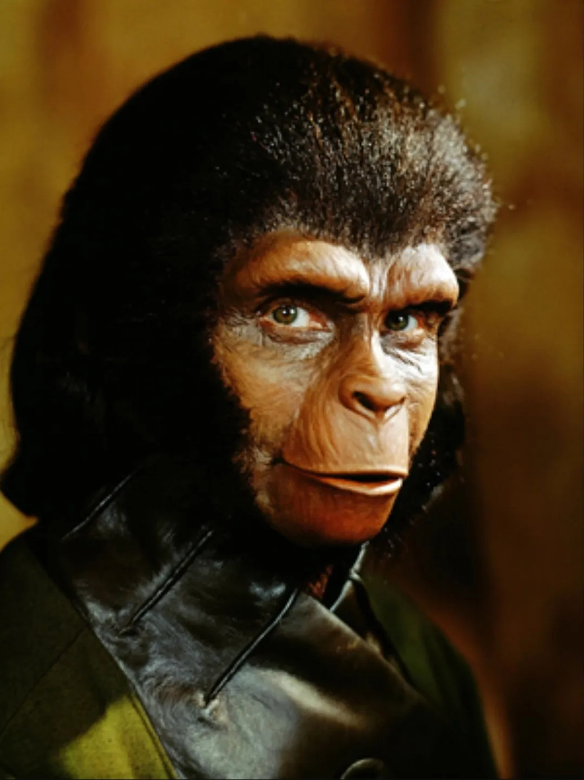 Kim Hunter in Planet of the Apes (1968)