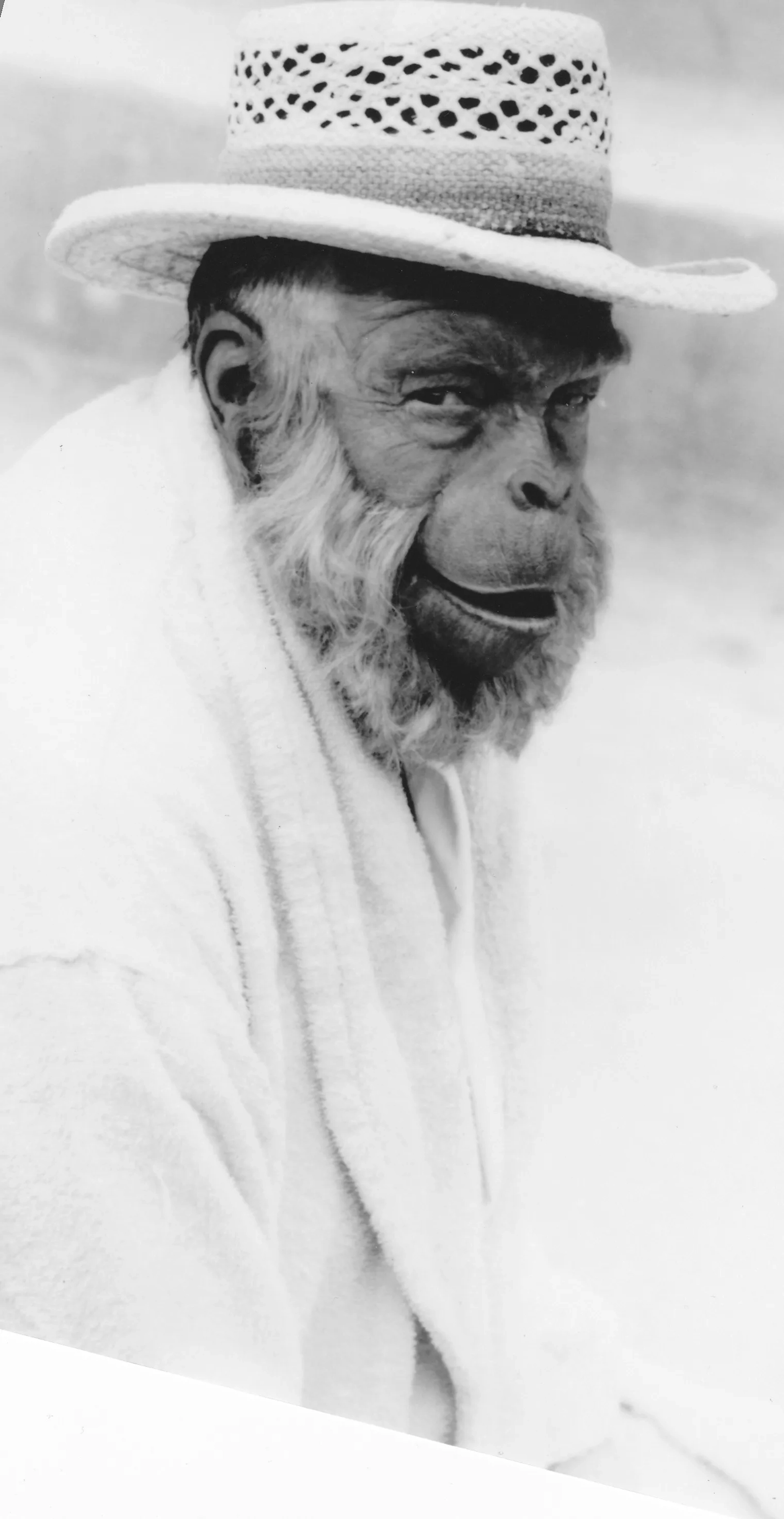 Maurice Evans in Planet of the Apes (1968)