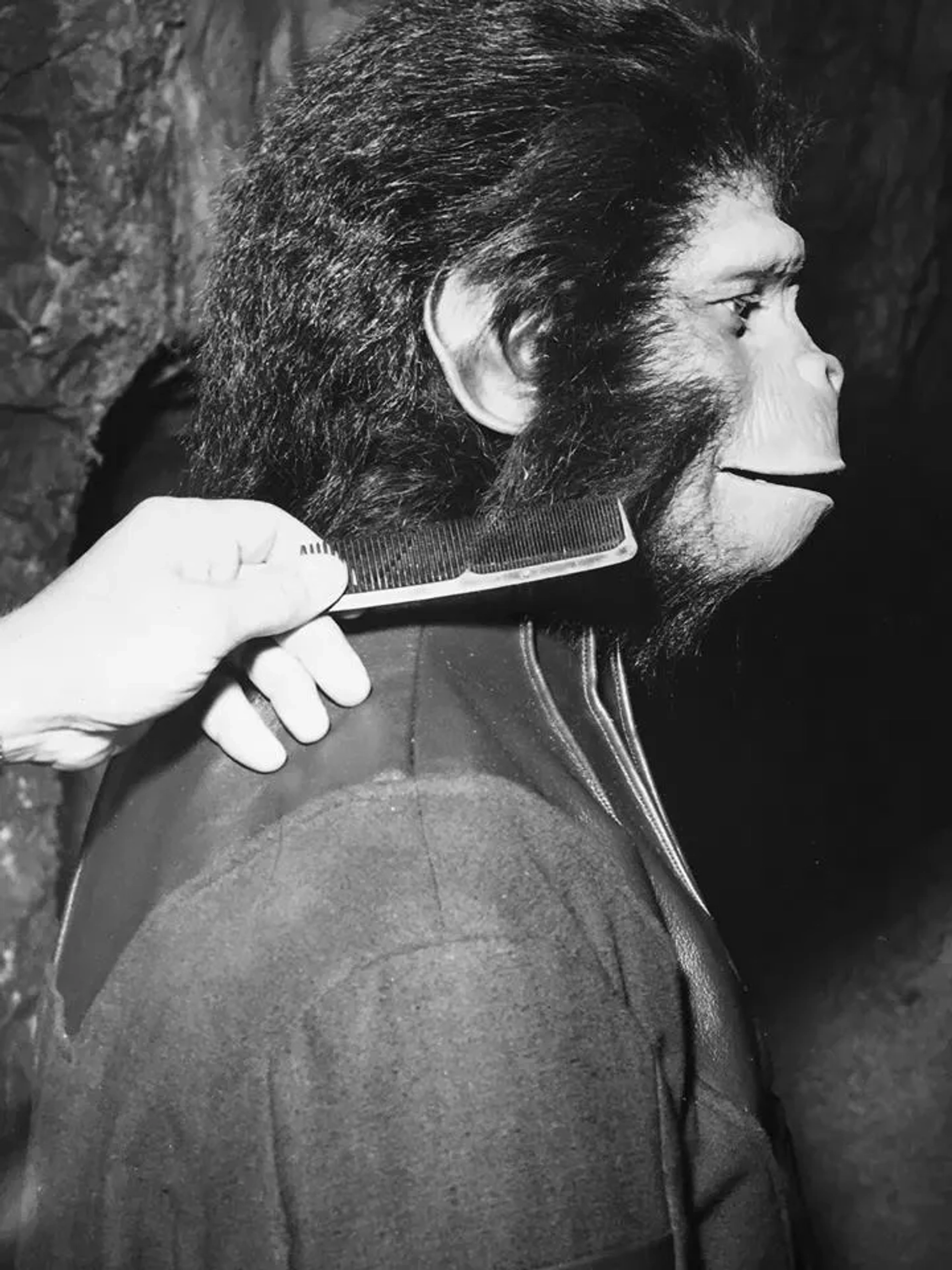 Roddy McDowall in Planet of the Apes (1968)