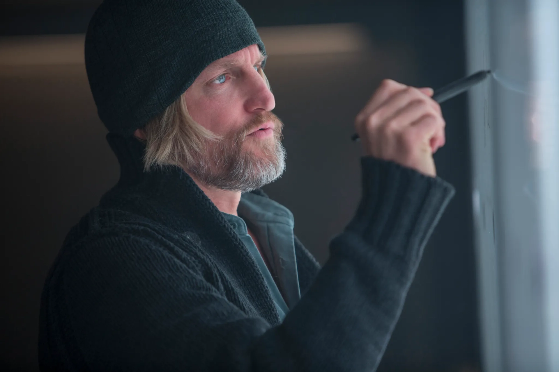 Woody Harrelson in The Hunger Games: Mockingjay - Part 1 (2014)