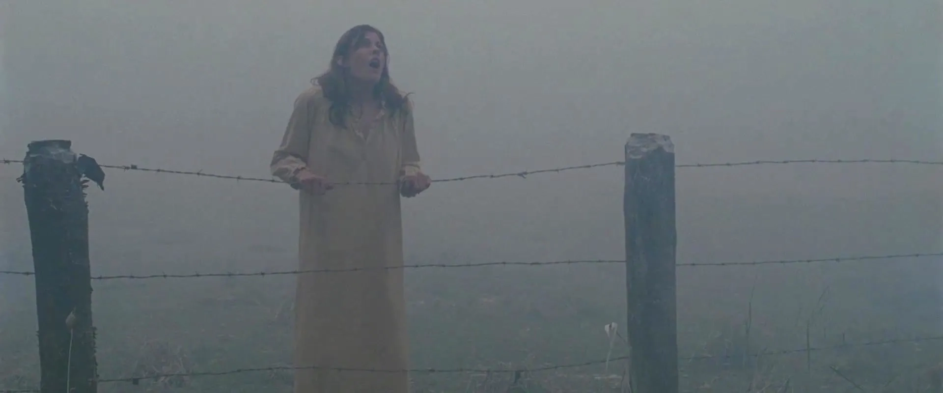 Jennifer Carpenter in The Exorcism of Emily Rose (2005)