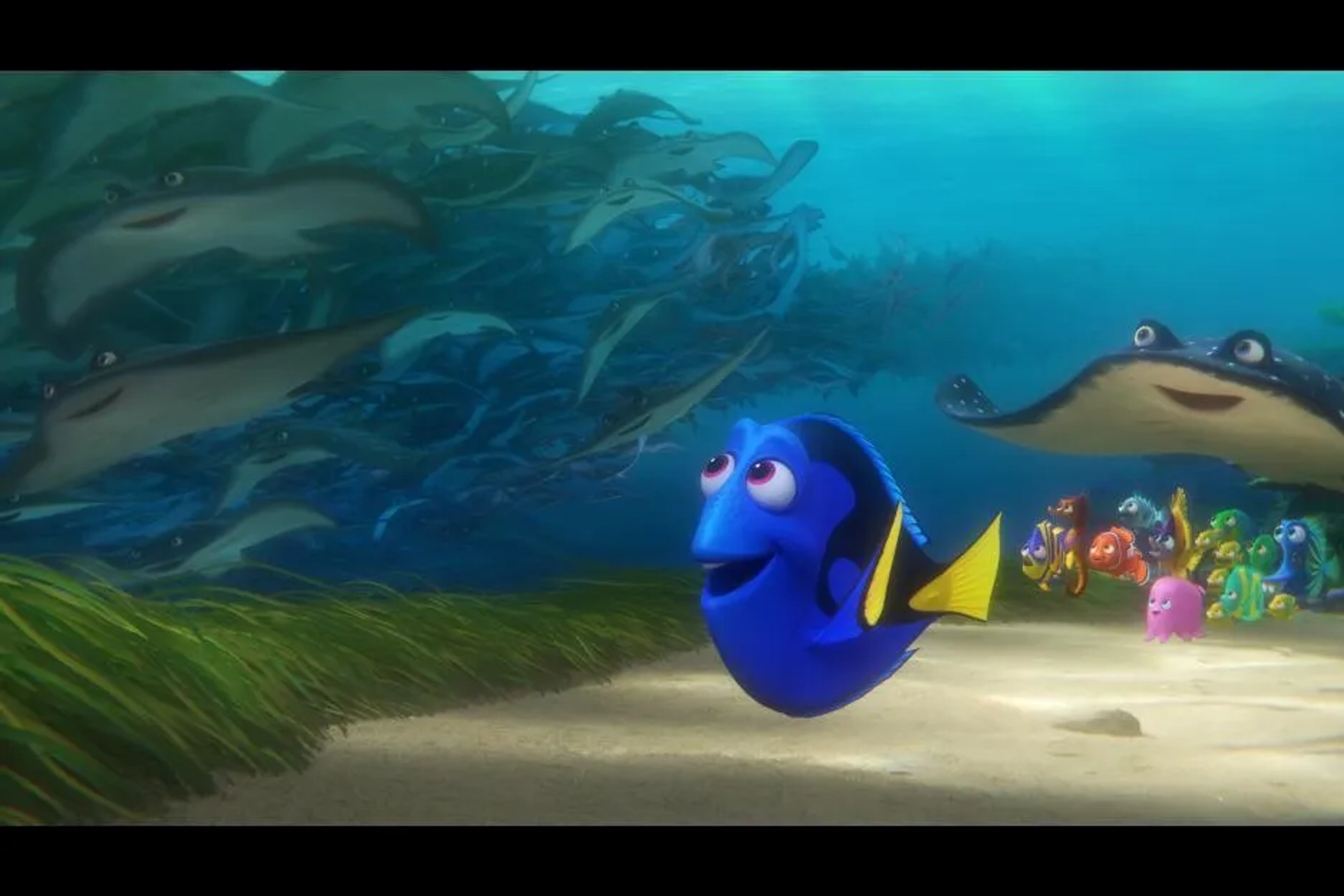 Ellen DeGeneres and Bob Peterson in Finding Dory (2016)