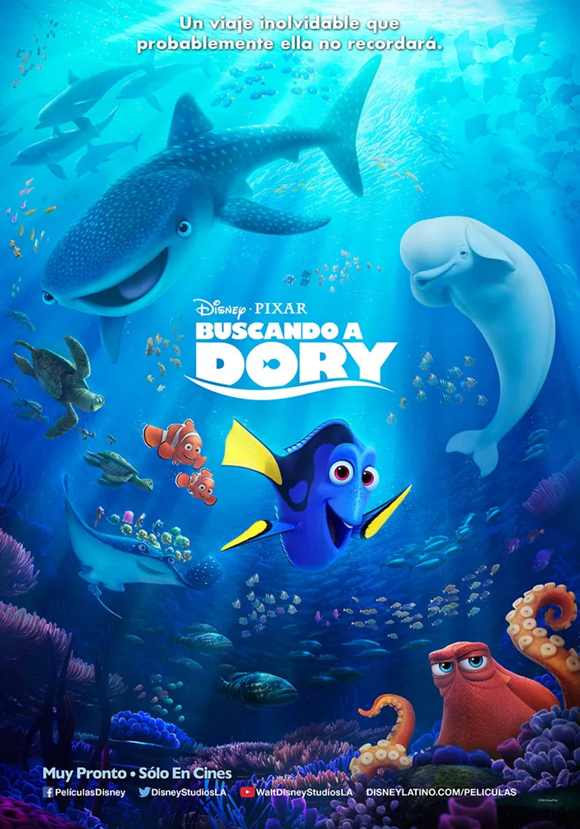 Albert Brooks, Ellen DeGeneres, Ty Burrell, Ed O'Neill, Kaitlin Olson, Bob Peterson, and Hayden Rolence in Finding Dory (2016)