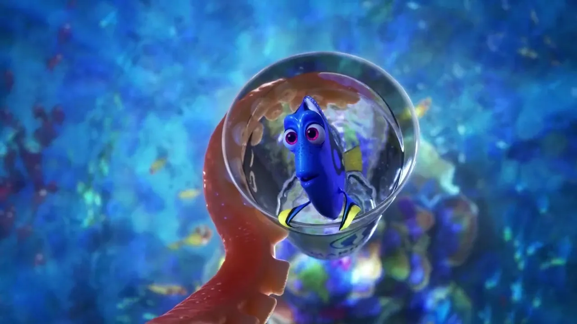 Ellen DeGeneres and Ed O'Neill in Finding Dory (2016)