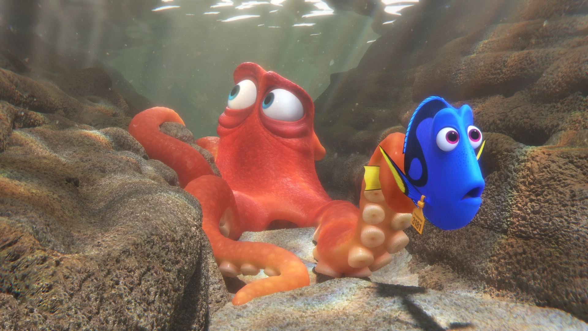 Ellen DeGeneres and Ed O'Neill in Finding Dory (2016)