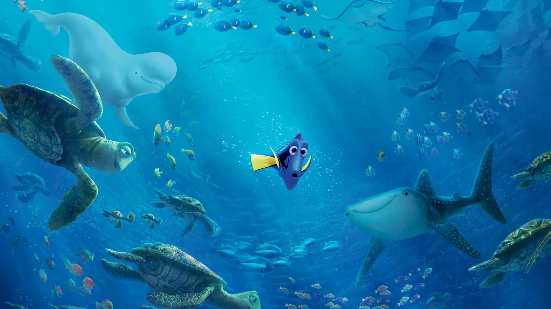 Ellen DeGeneres in Finding Dory (2016)