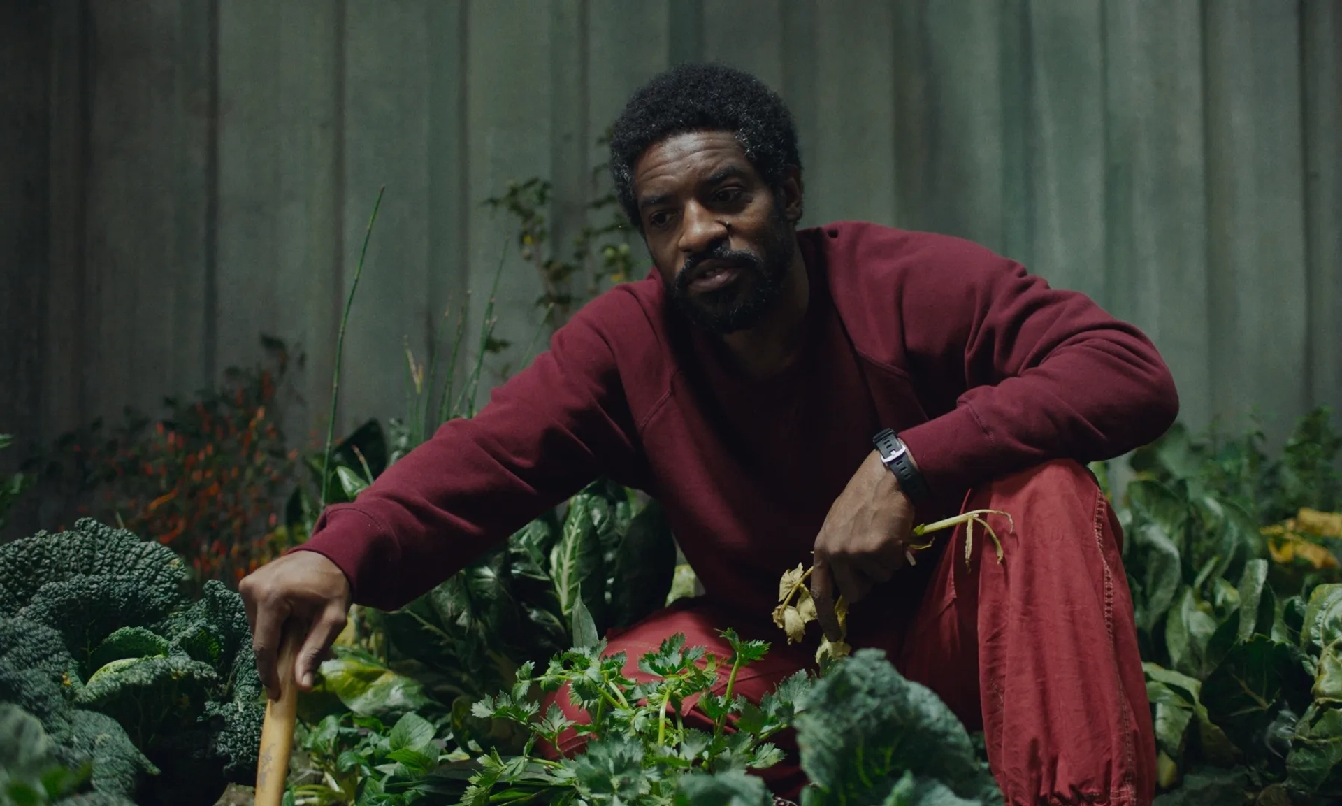 André 3000 in High Life (2018)