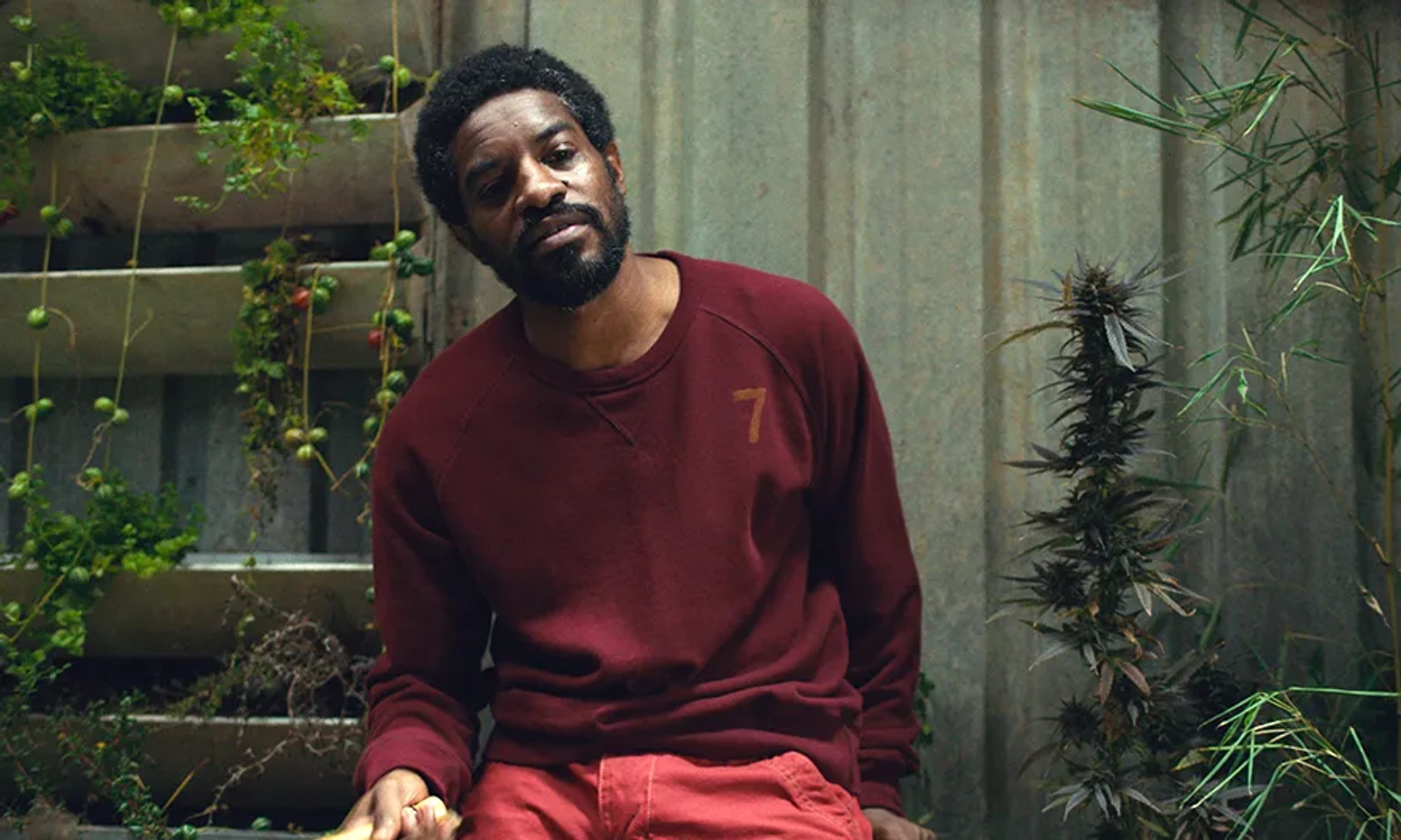 André 3000 in High Life (2018)