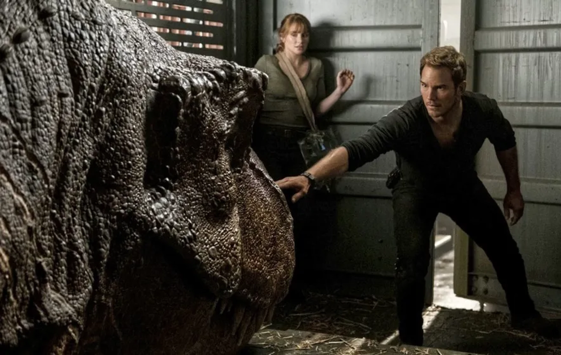 Bryce Dallas Howard and Chris Pratt in Jurassic World: Fallen Kingdom (2018)