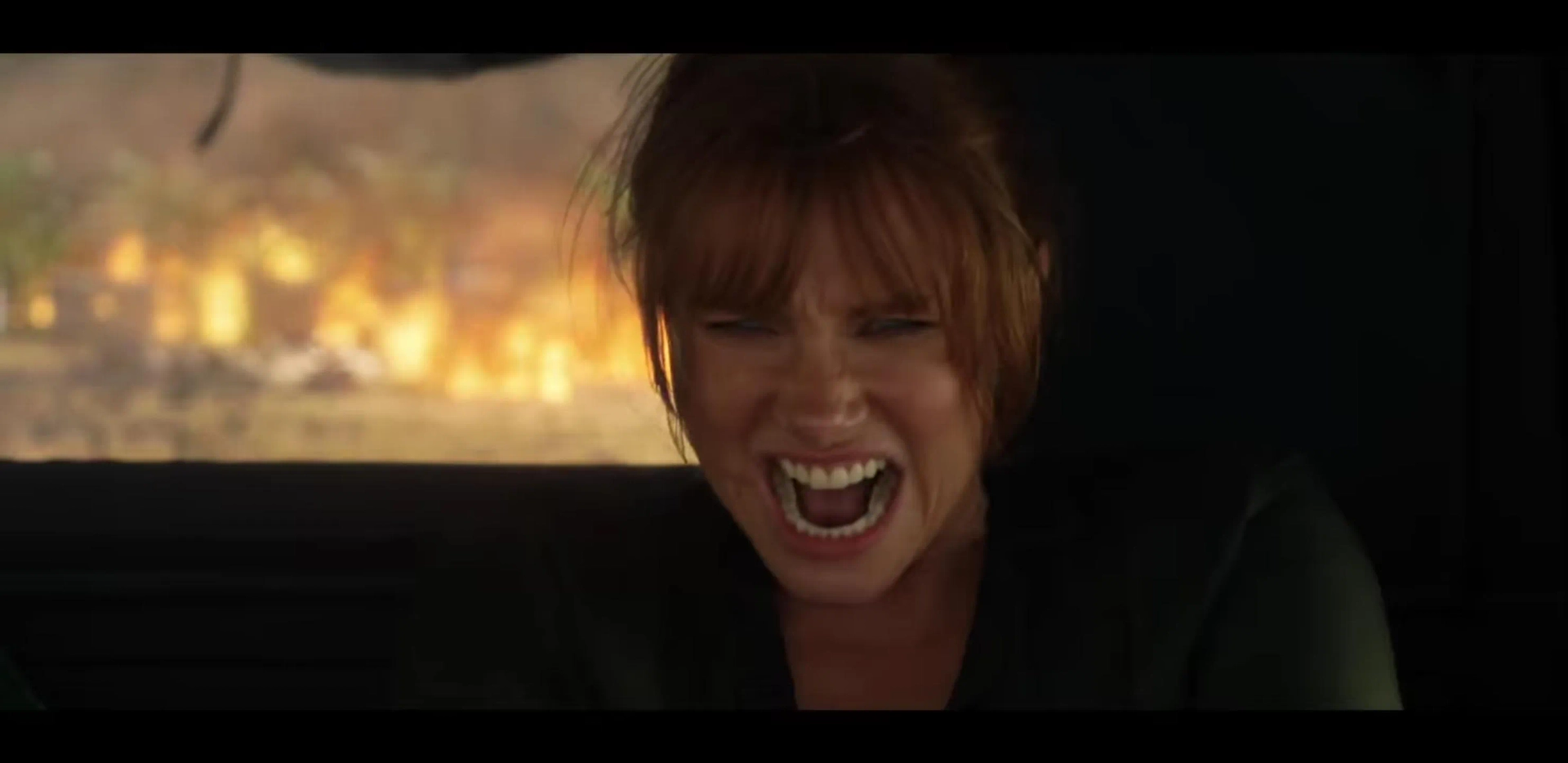 Bryce Dallas Howard in Jurassic World: Fallen Kingdom (2018)