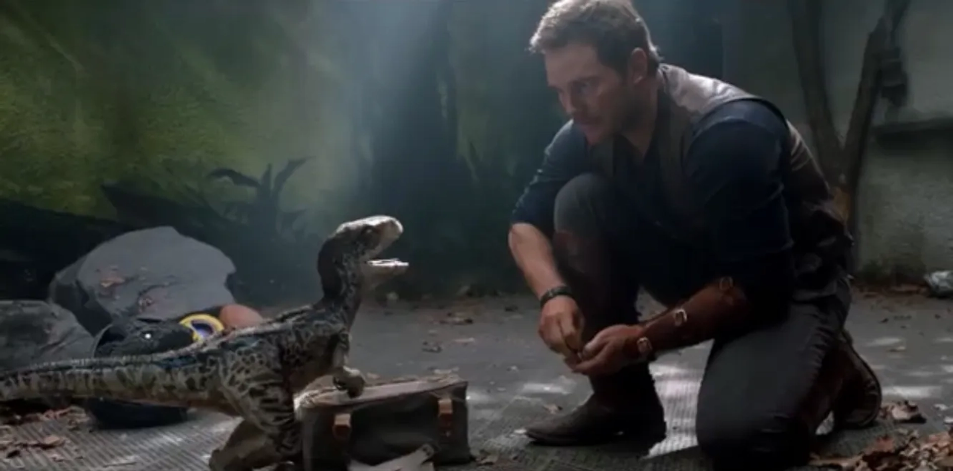 Chris Pratt in Jurassic World: Fallen Kingdom (2018)