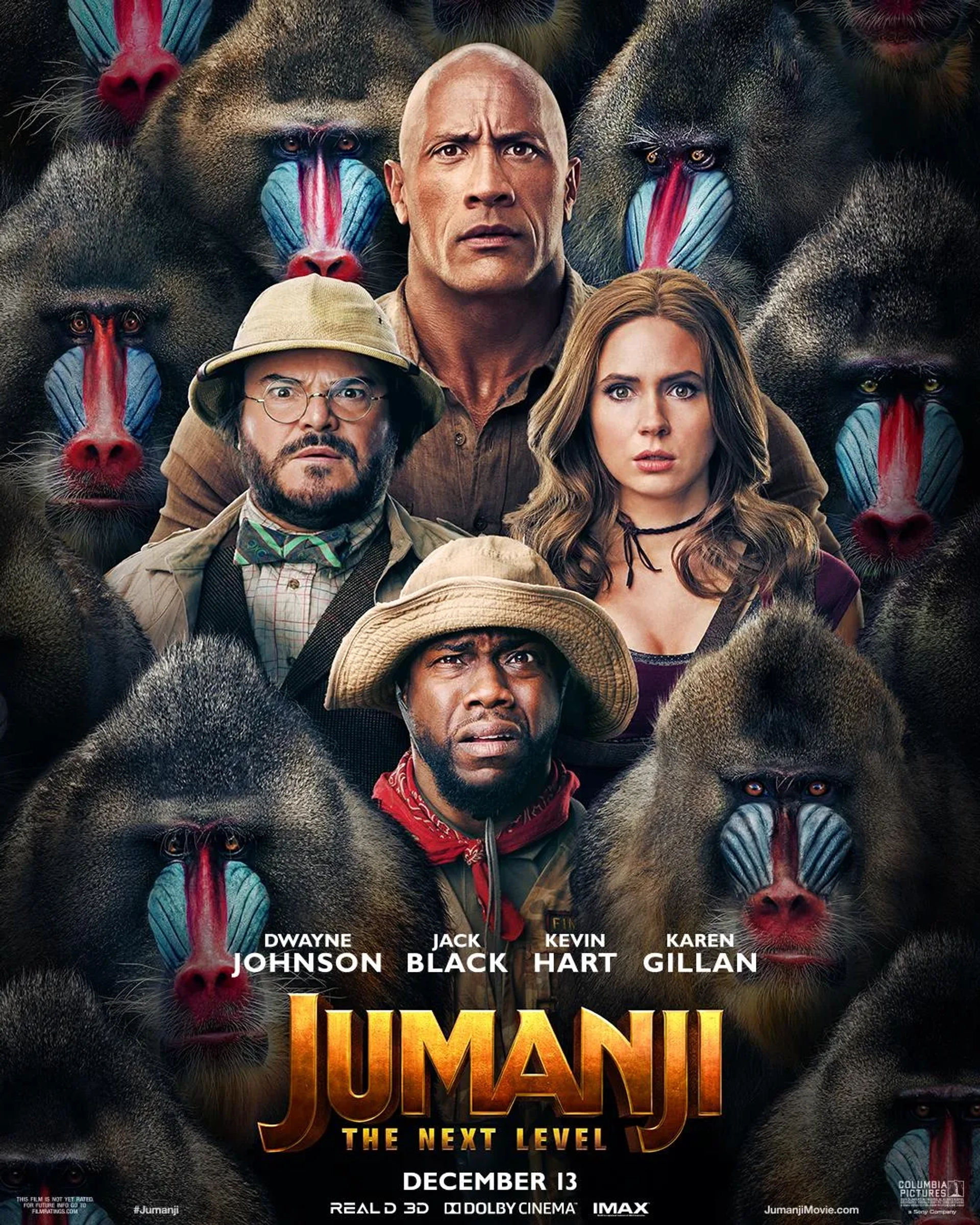 Jack Black, Kevin Hart, Dwayne Johnson, and Karen Gillan in Jumanji: The Next Level (2019)