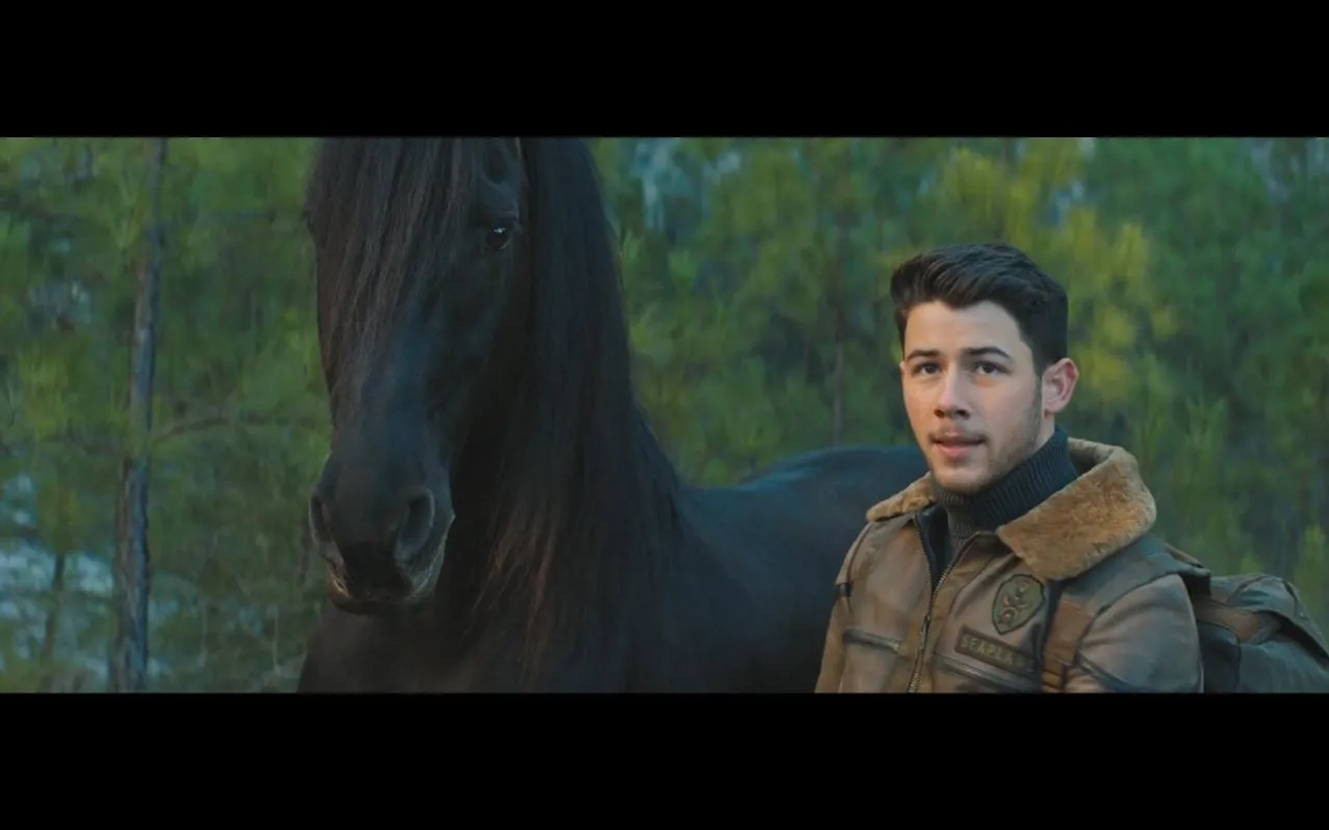 Nick Jonas in Jumanji: The Next Level (2019)