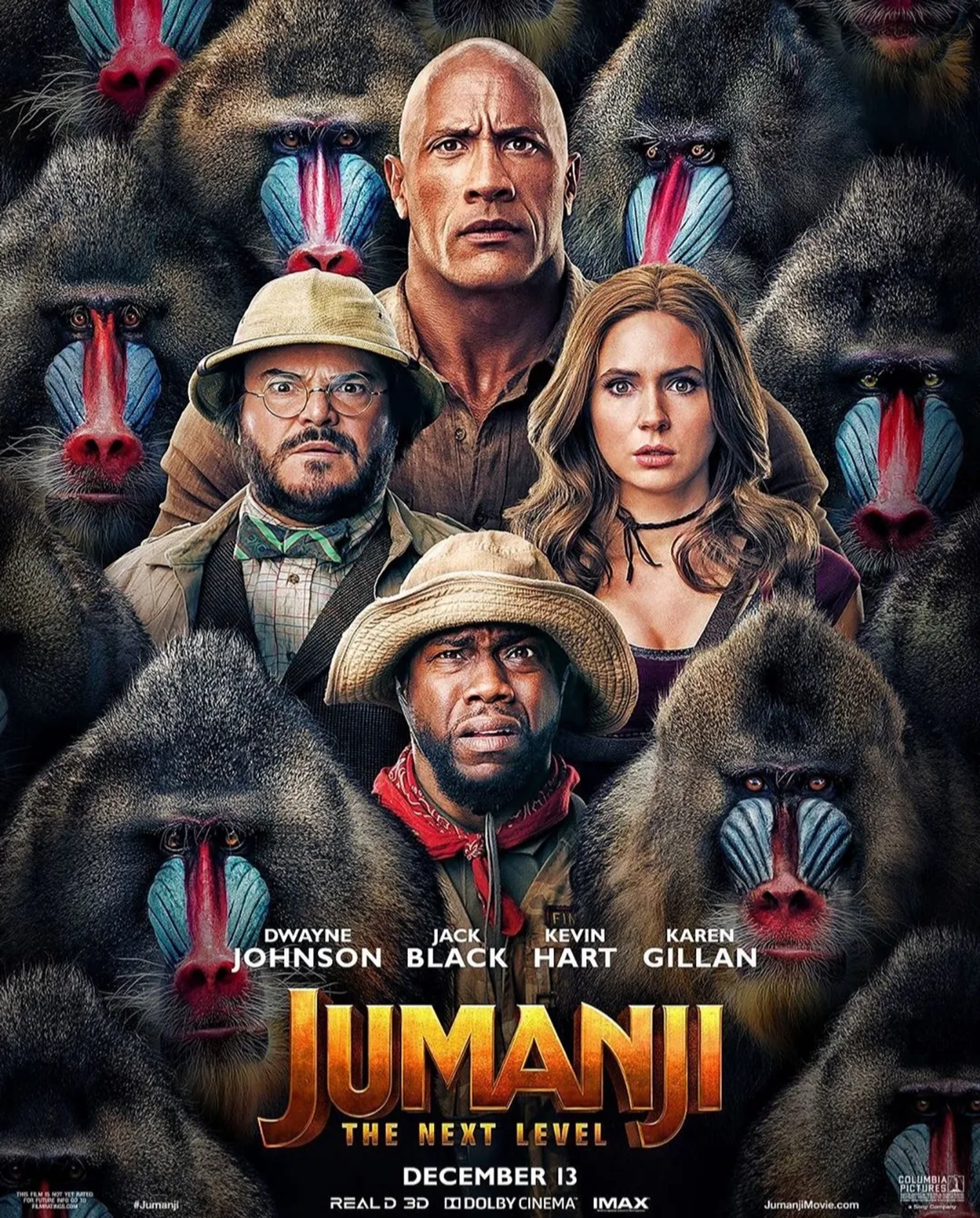 Jack Black, Kevin Hart, Dwayne Johnson, and Karen Gillan in Jumanji: The Next Level (2019)