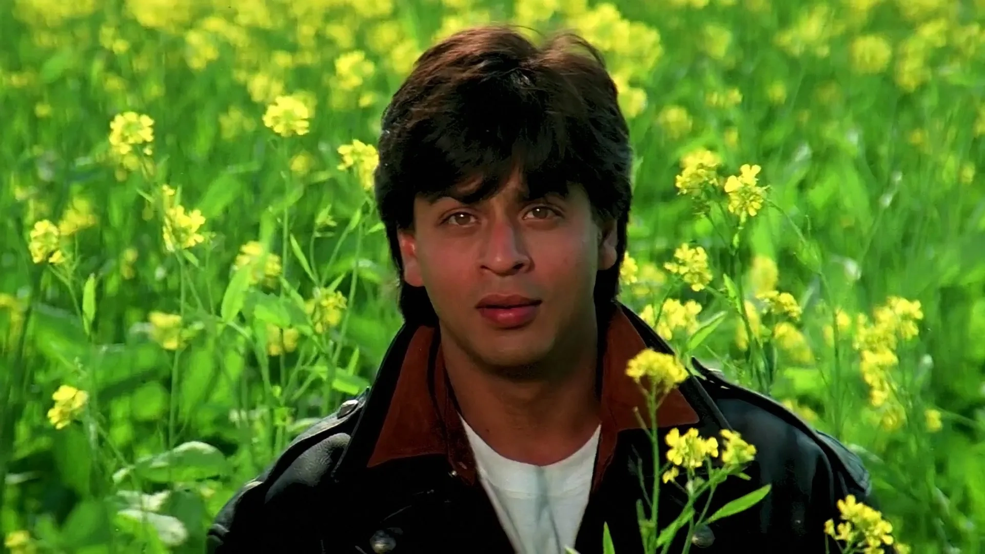 Shah Rukh Khan in Dilwale Dulhania Le Jayenge (1995)