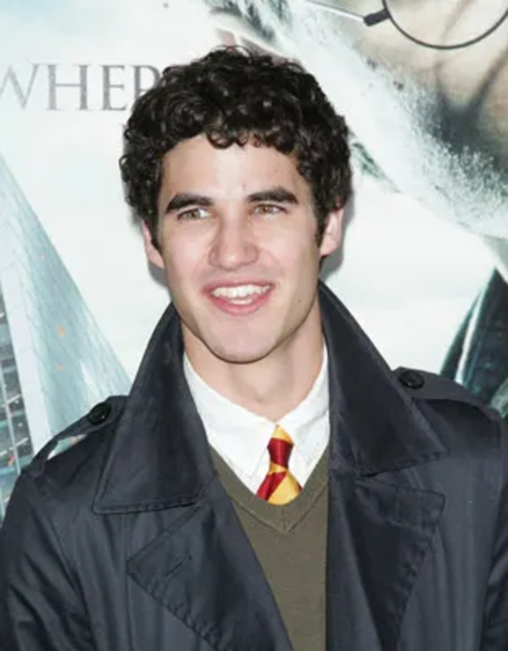 Darren Criss at an event for Harry Potter and the Deathly Hallows: Part 1 (2010)