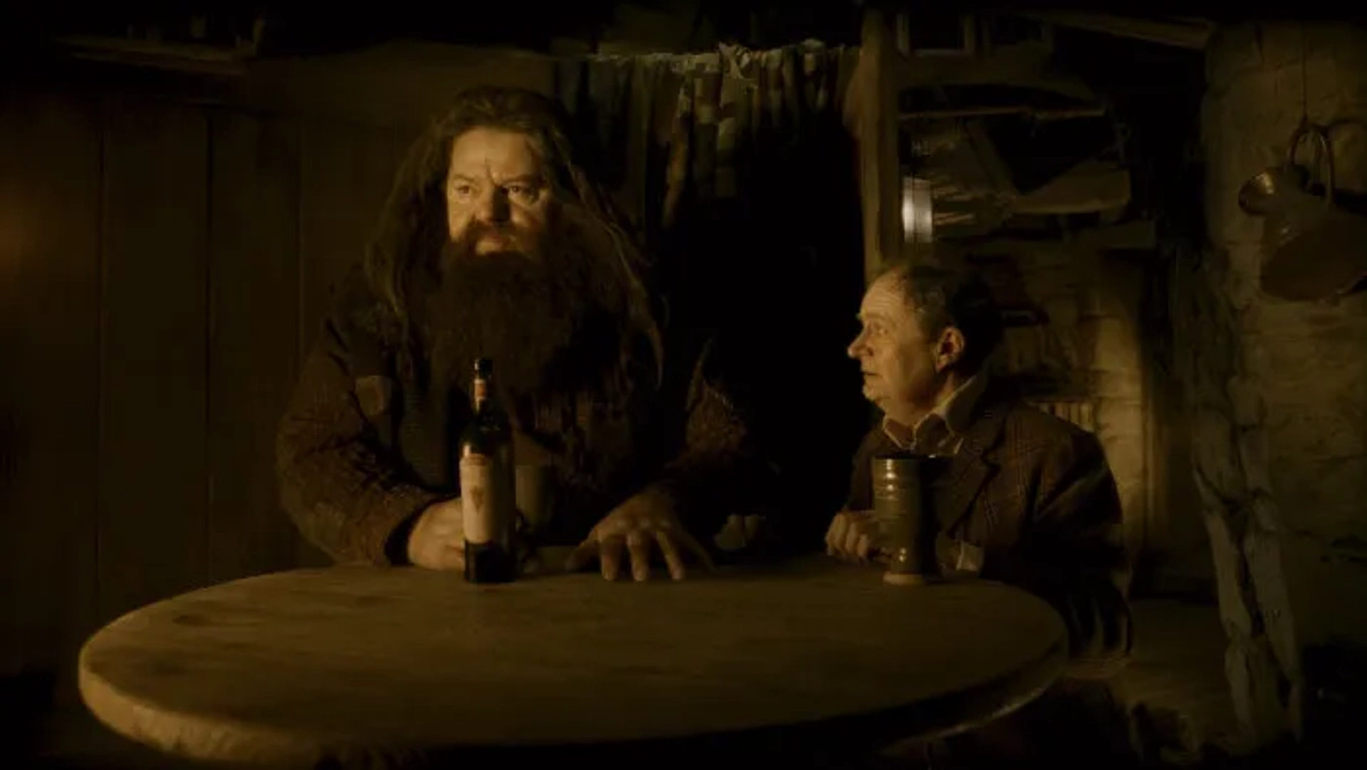 Jim Broadbent and Robbie Coltrane in Harry Potter and the Half-Blood Prince (2009)