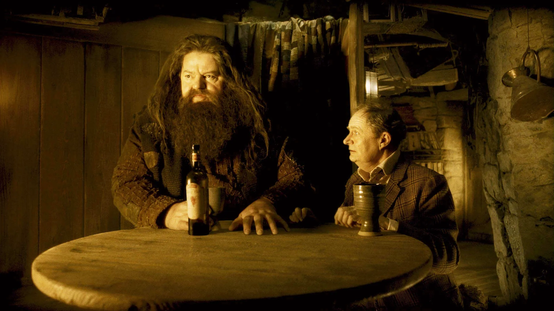 Jim Broadbent and Robbie Coltrane in Harry Potter and the Half-Blood Prince (2009)