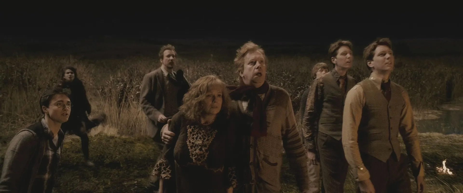 David Thewlis, Rupert Grint, Daniel Radcliffe, Julie Walters, Mark Williams, James Phelps, and Oliver Phelps in Harry Potter and the Half-Blood Prince (2009)