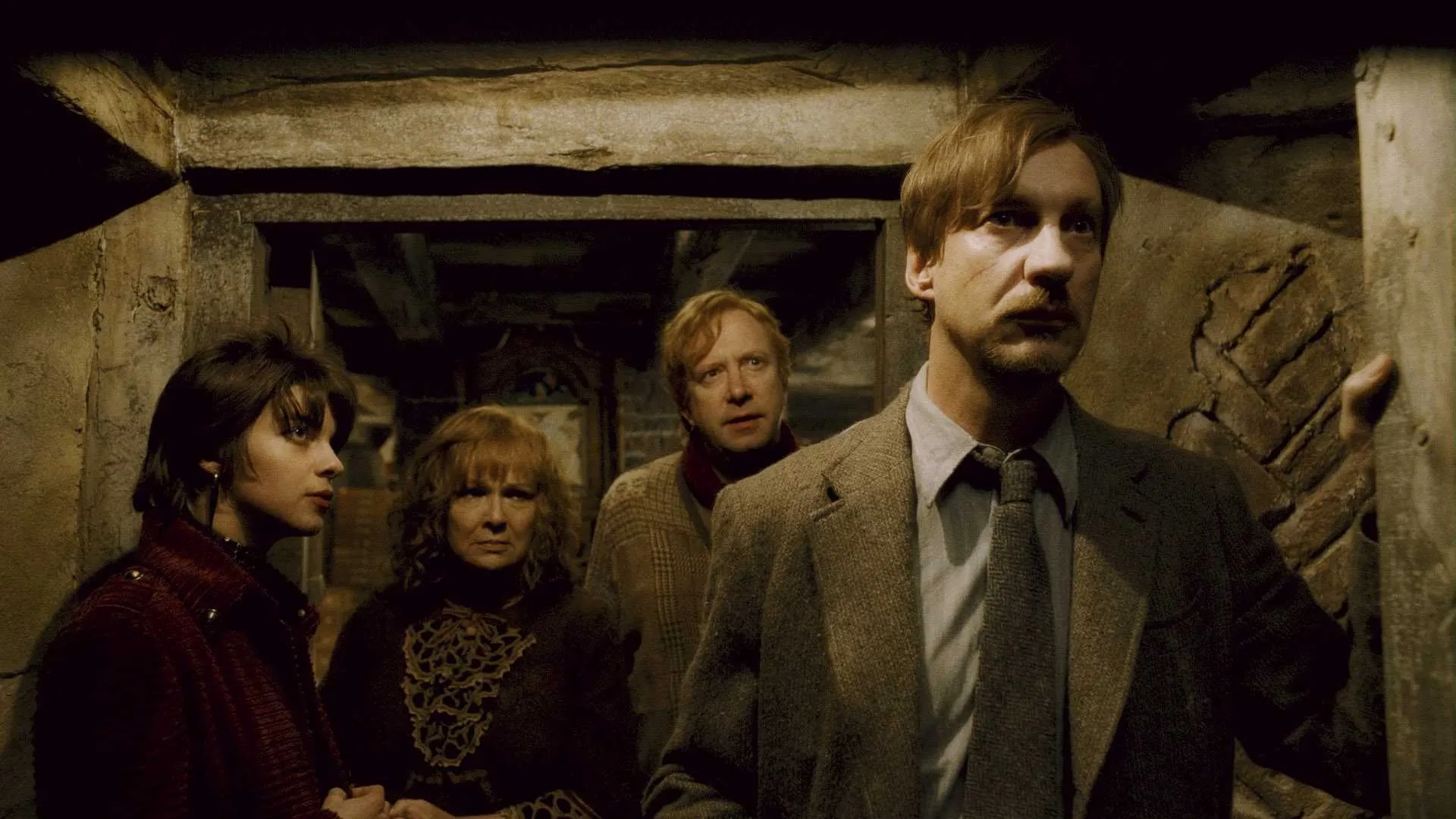 David Thewlis, Julie Walters, Mark Williams, and Natalia Tena in Harry Potter and the Half-Blood Prince (2009)