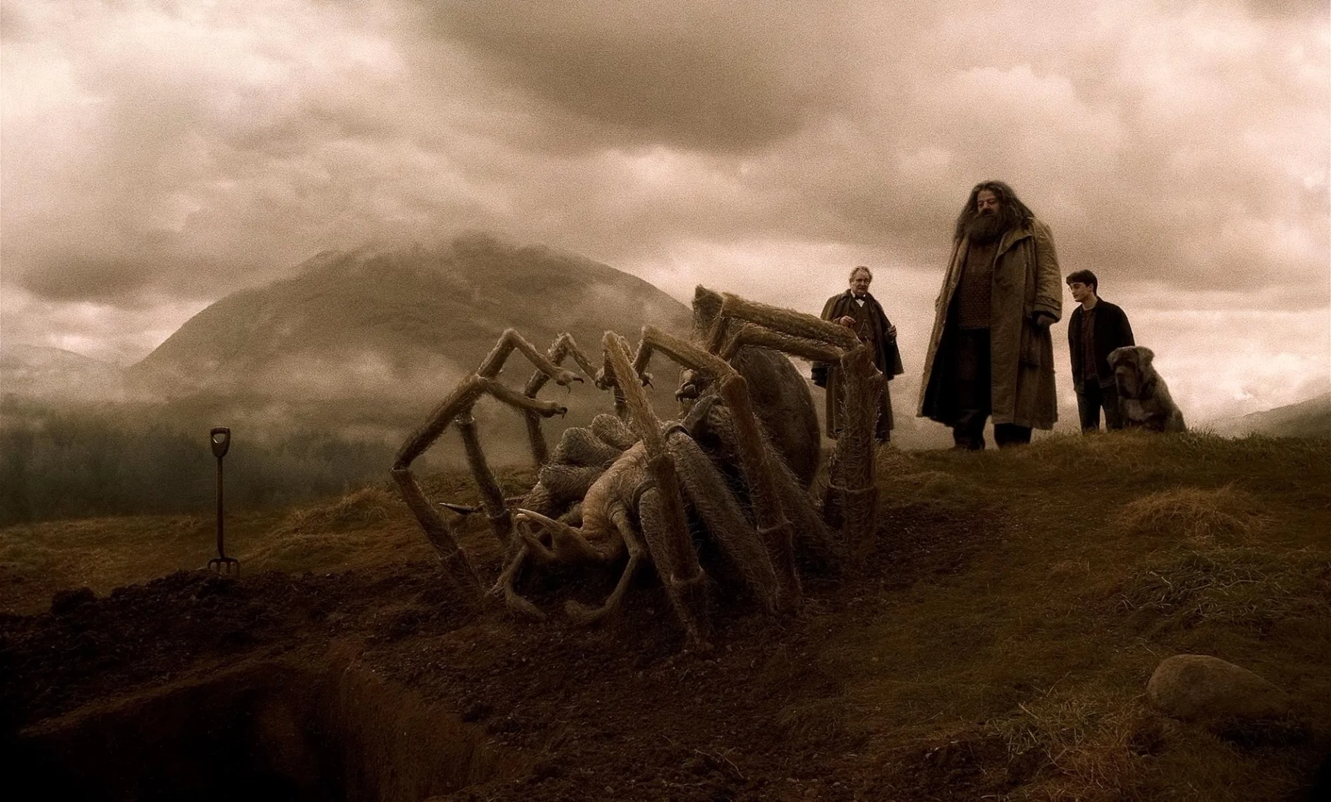 Jim Broadbent, Robbie Coltrane, and Daniel Radcliffe in Harry Potter and the Half-Blood Prince (2009)