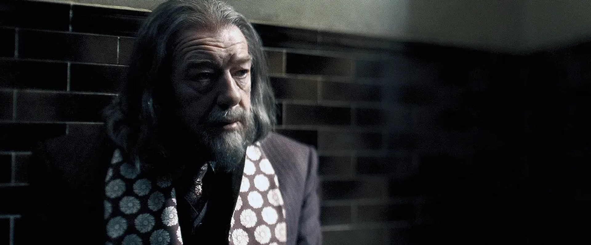 Michael Gambon in Harry Potter and the Half-Blood Prince (2009)