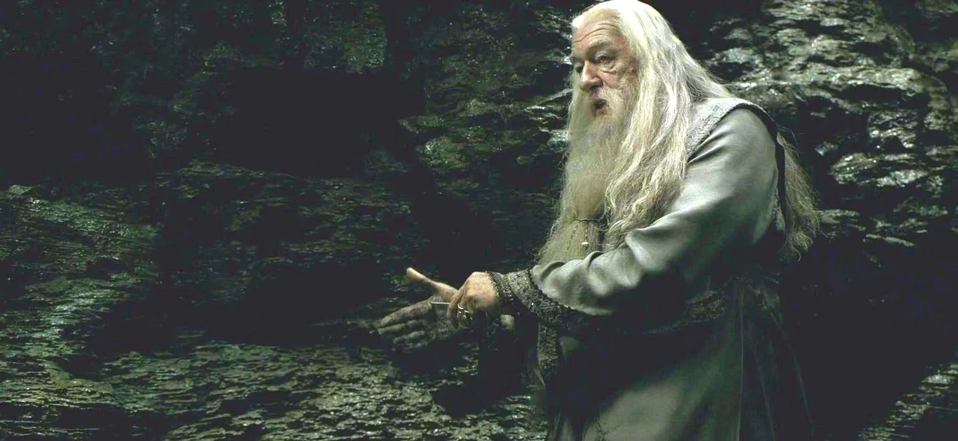 Michael Gambon in Harry Potter and the Half-Blood Prince (2009)