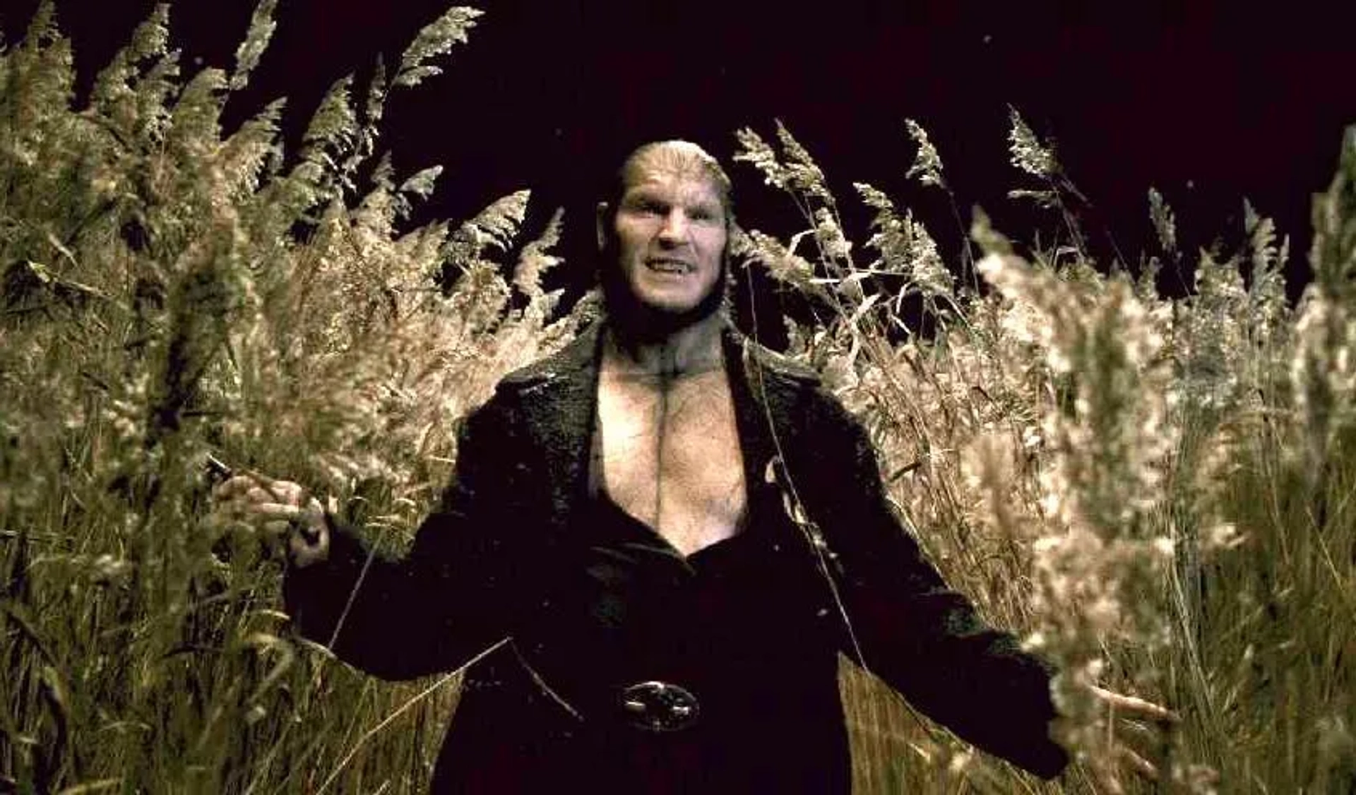 Dave Legeno in Harry Potter and the Half-Blood Prince (2009)