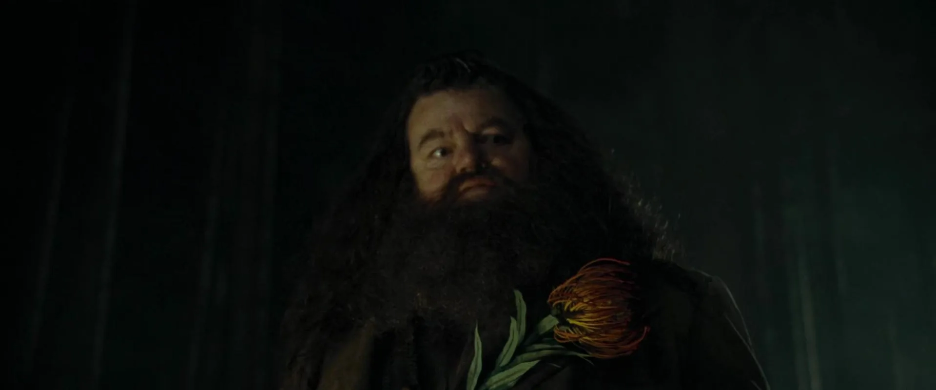 Robbie Coltrane in Harry Potter and the Goblet of Fire (2005)