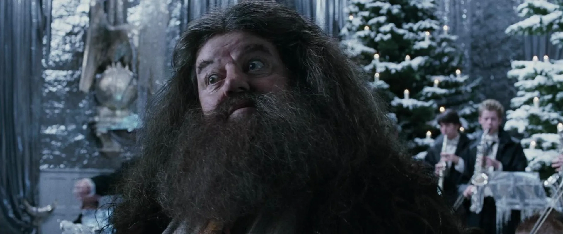 Robbie Coltrane in Harry Potter and the Goblet of Fire (2005)