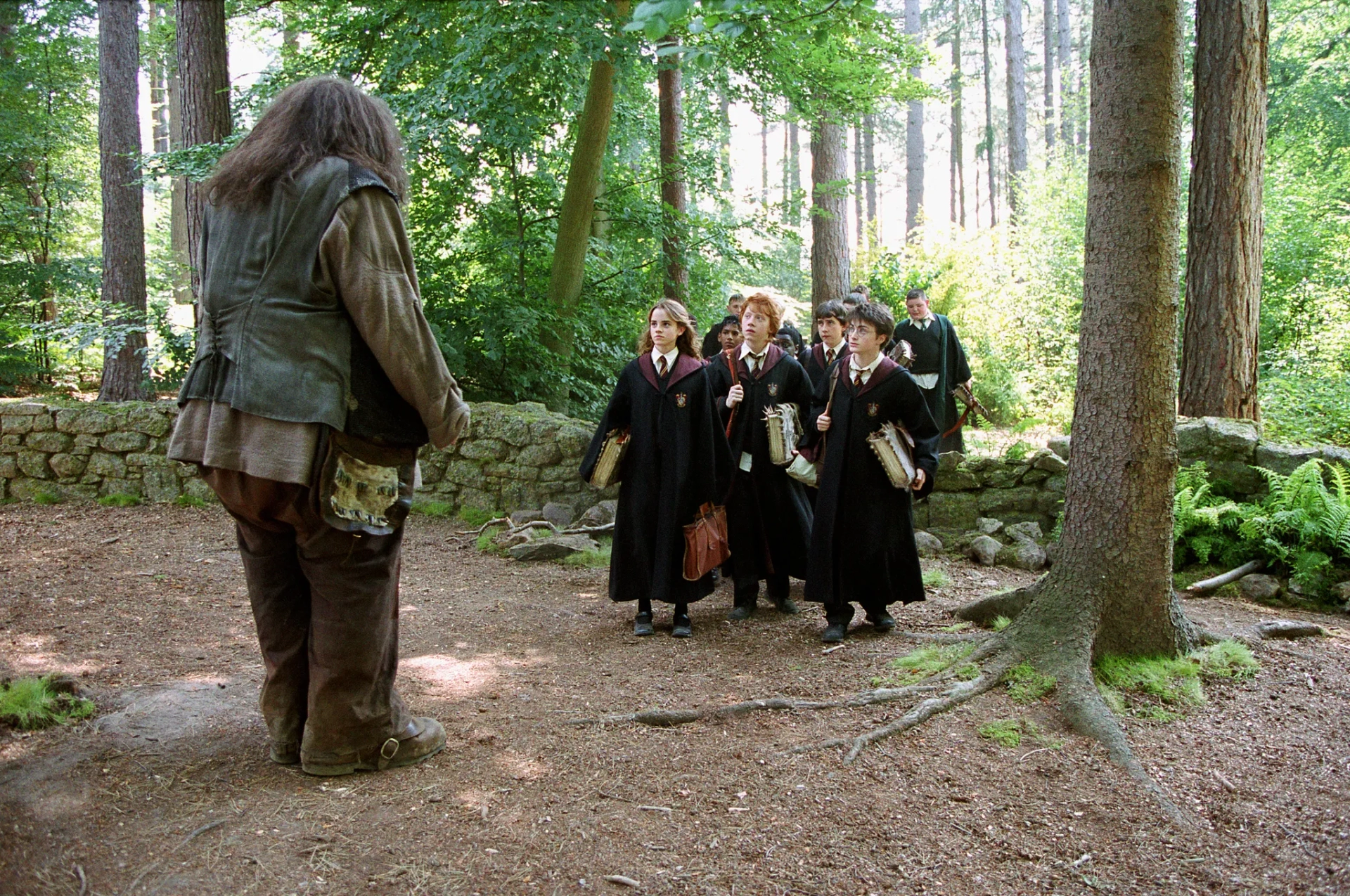 Robbie Coltrane, Rupert Grint, Matthew Lewis, Devon Murray, Daniel Radcliffe, Emma Watson, Jamie Waylett, Bronson Webb, Ekow Quartey, and Rick Sahota in Harry Potter and the Prisoner of Azkaban (2004)