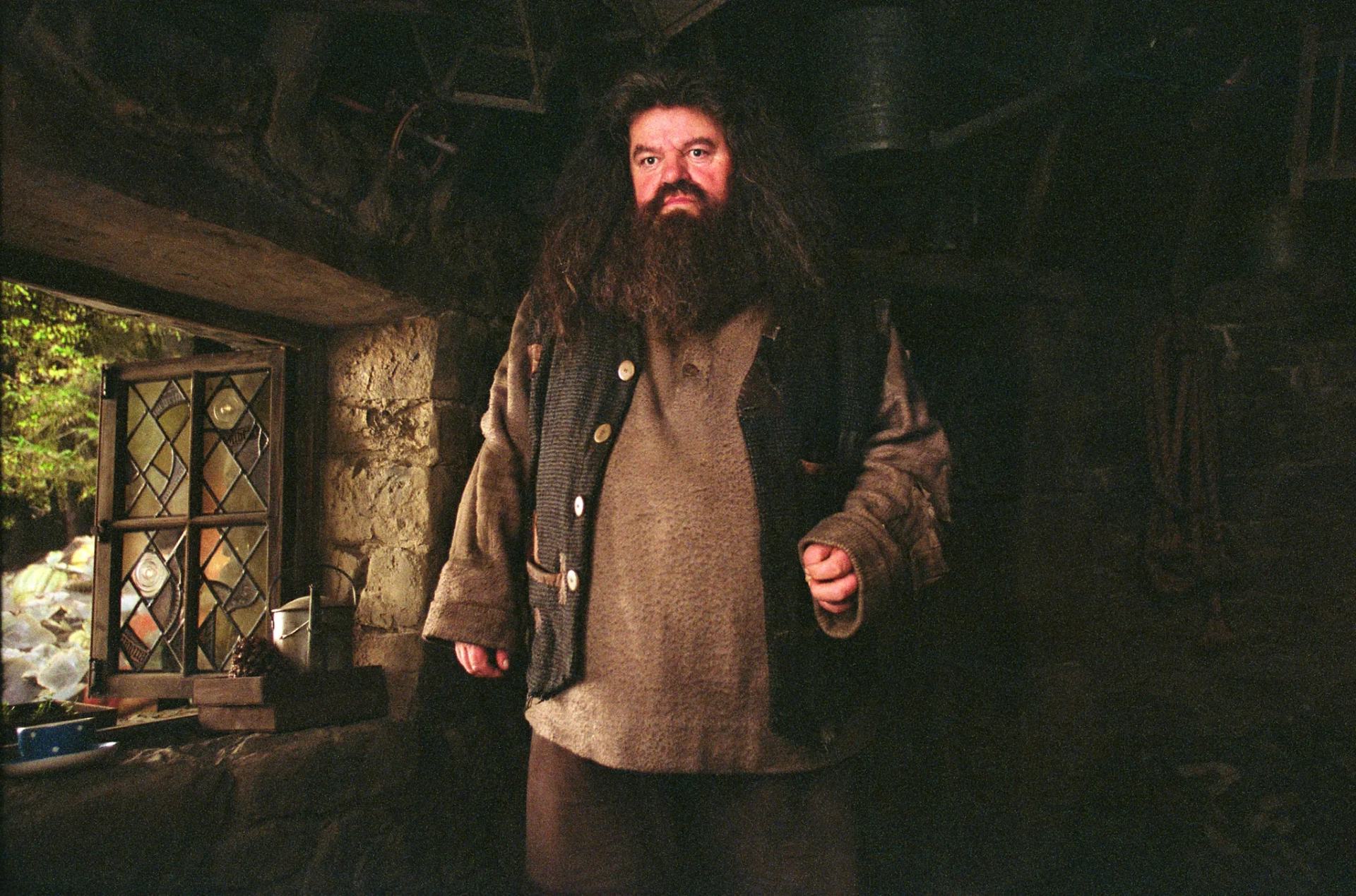 Robbie Coltrane in Harry Potter and the Prisoner of Azkaban (2004)