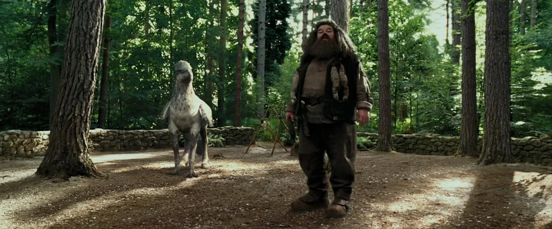 Robbie Coltrane in Harry Potter and the Prisoner of Azkaban (2004)