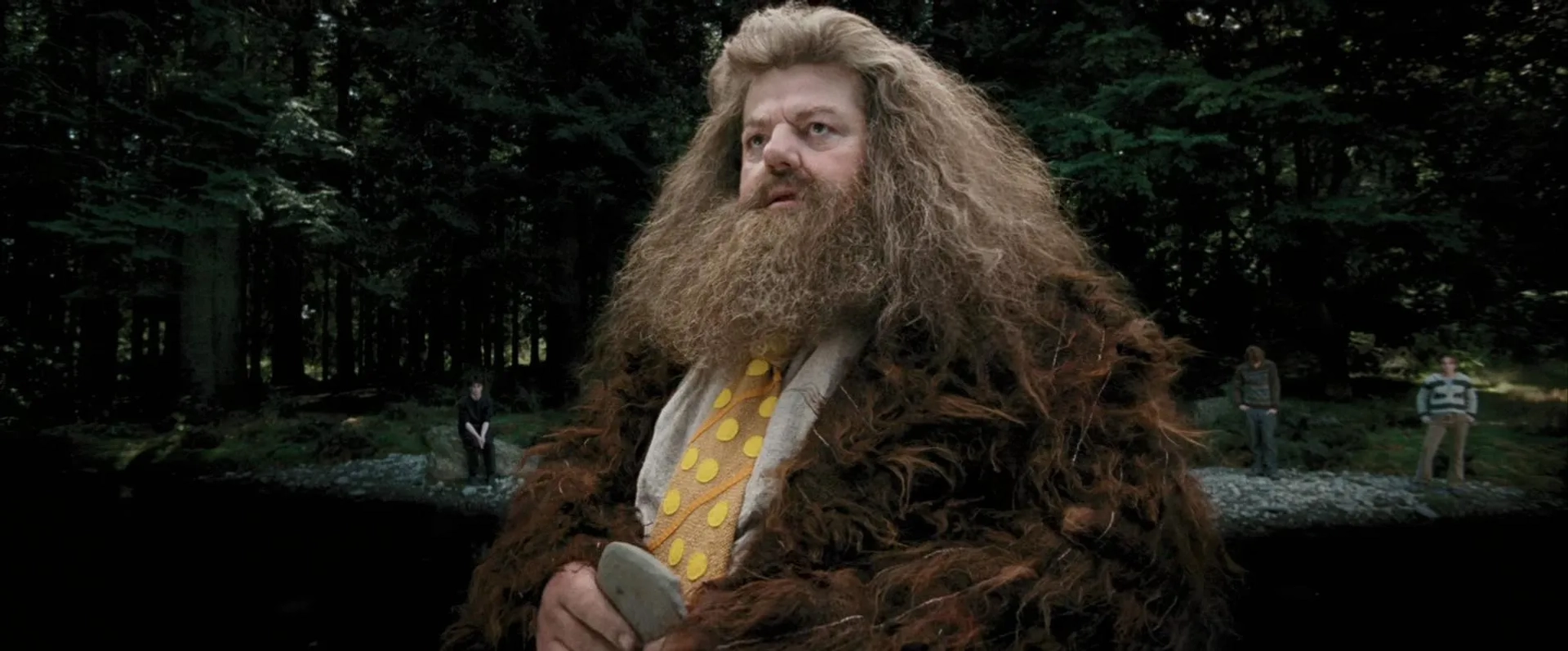 Robbie Coltrane in Harry Potter and the Prisoner of Azkaban (2004)