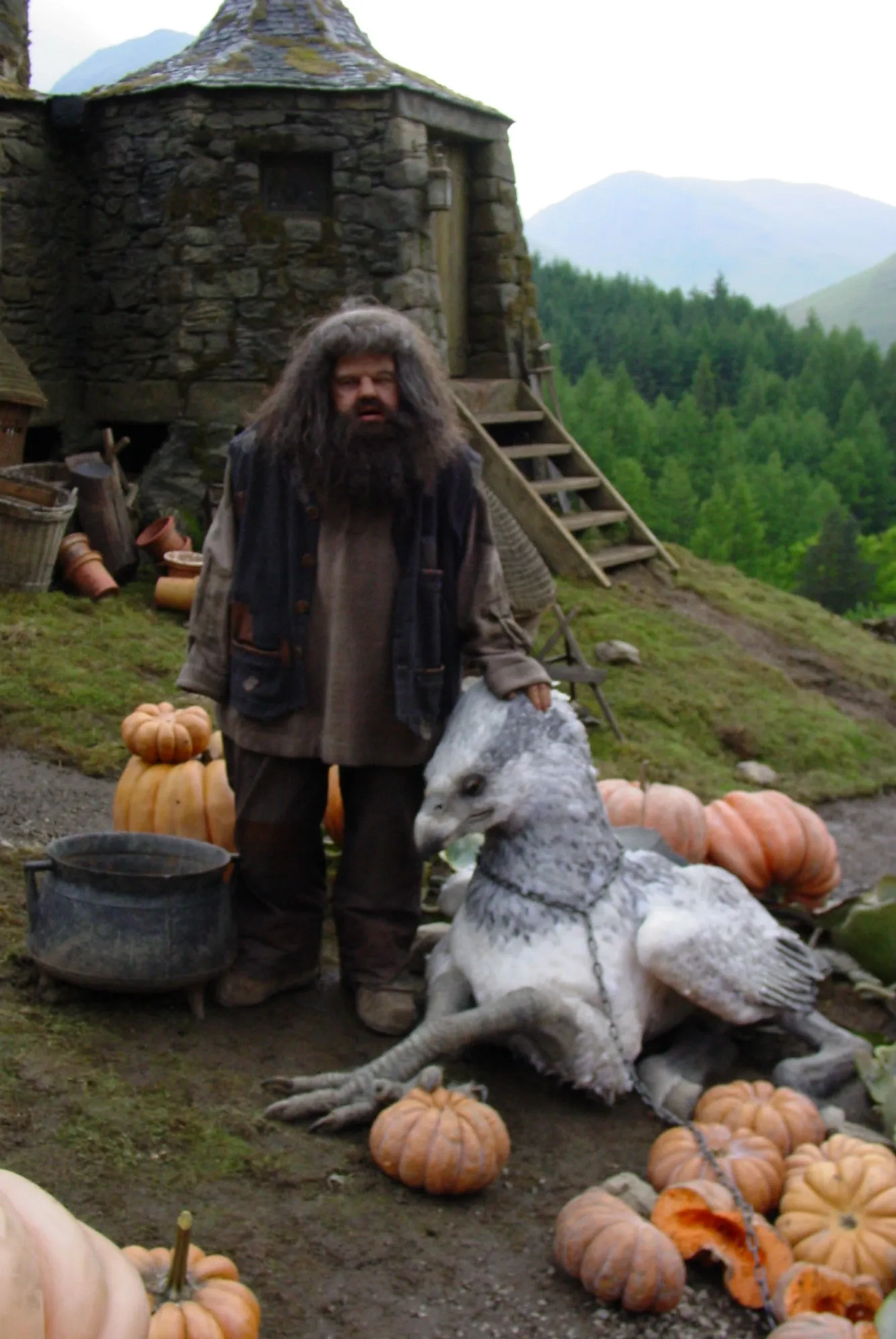 Robbie Coltrane in Harry Potter and the Prisoner of Azkaban (2004)