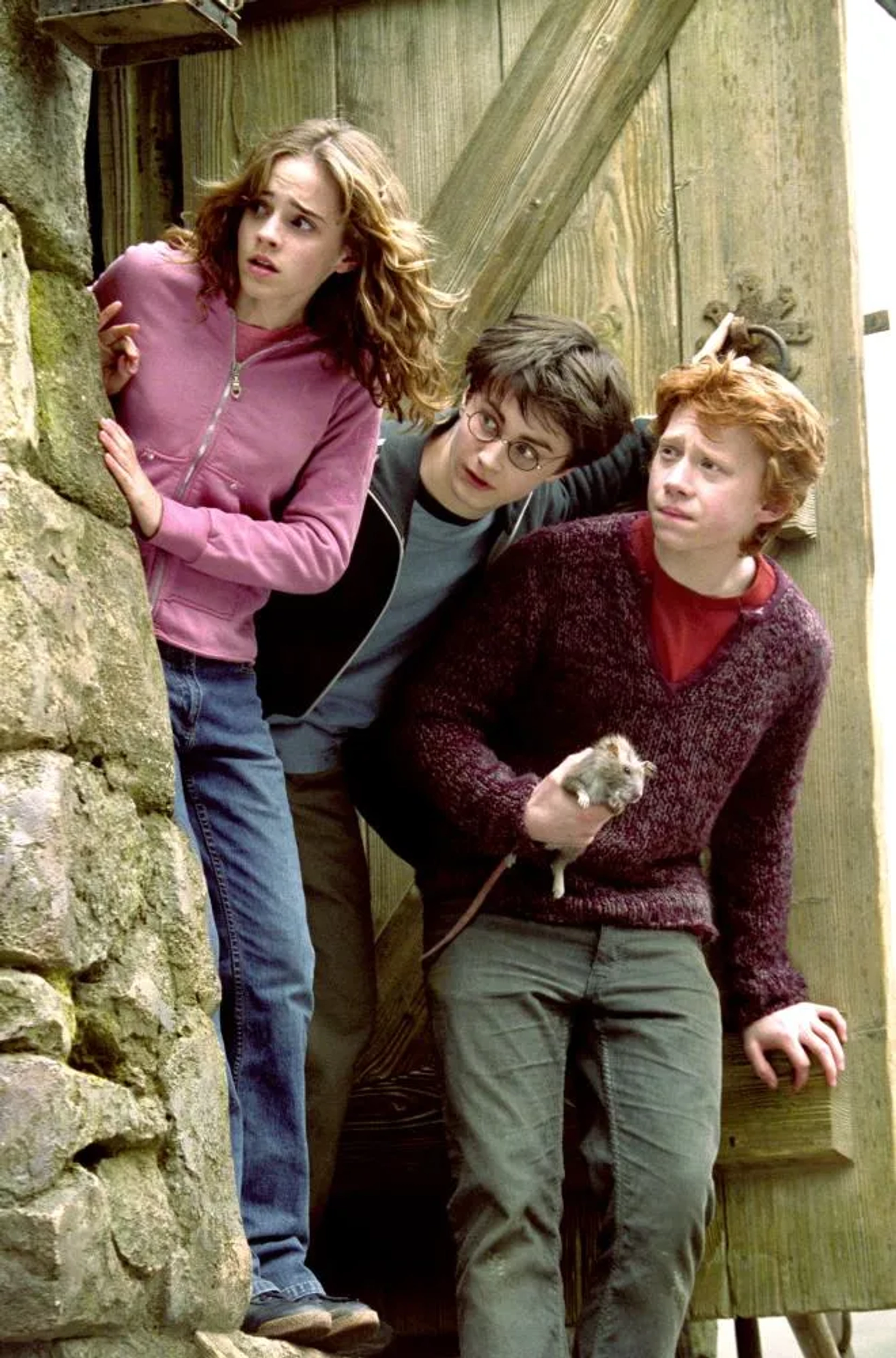 Rupert Grint, Daniel Radcliffe, and Emma Watson in Harry Potter and the Prisoner of Azkaban (2004)