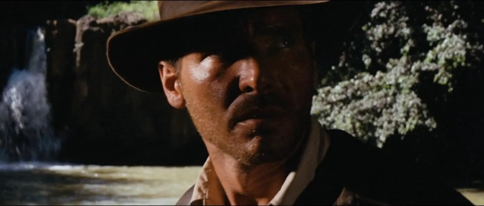 Harrison Ford in Raiders of the Lost Ark (1981)