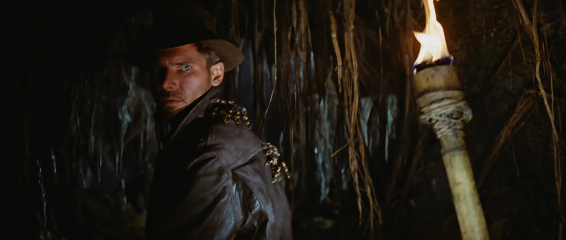 Harrison Ford in Raiders of the Lost Ark (1981)