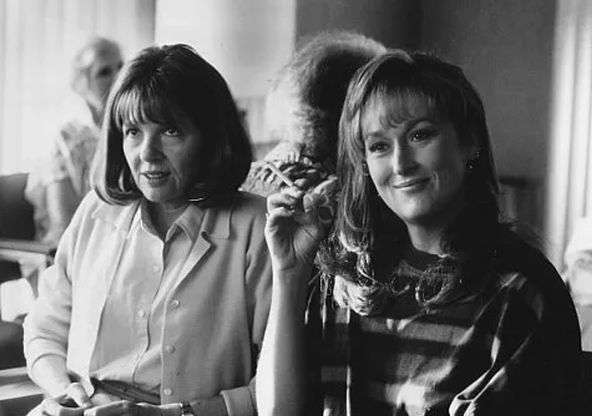 Diane Keaton and Meryl Streep in Marvin's Room (1996)