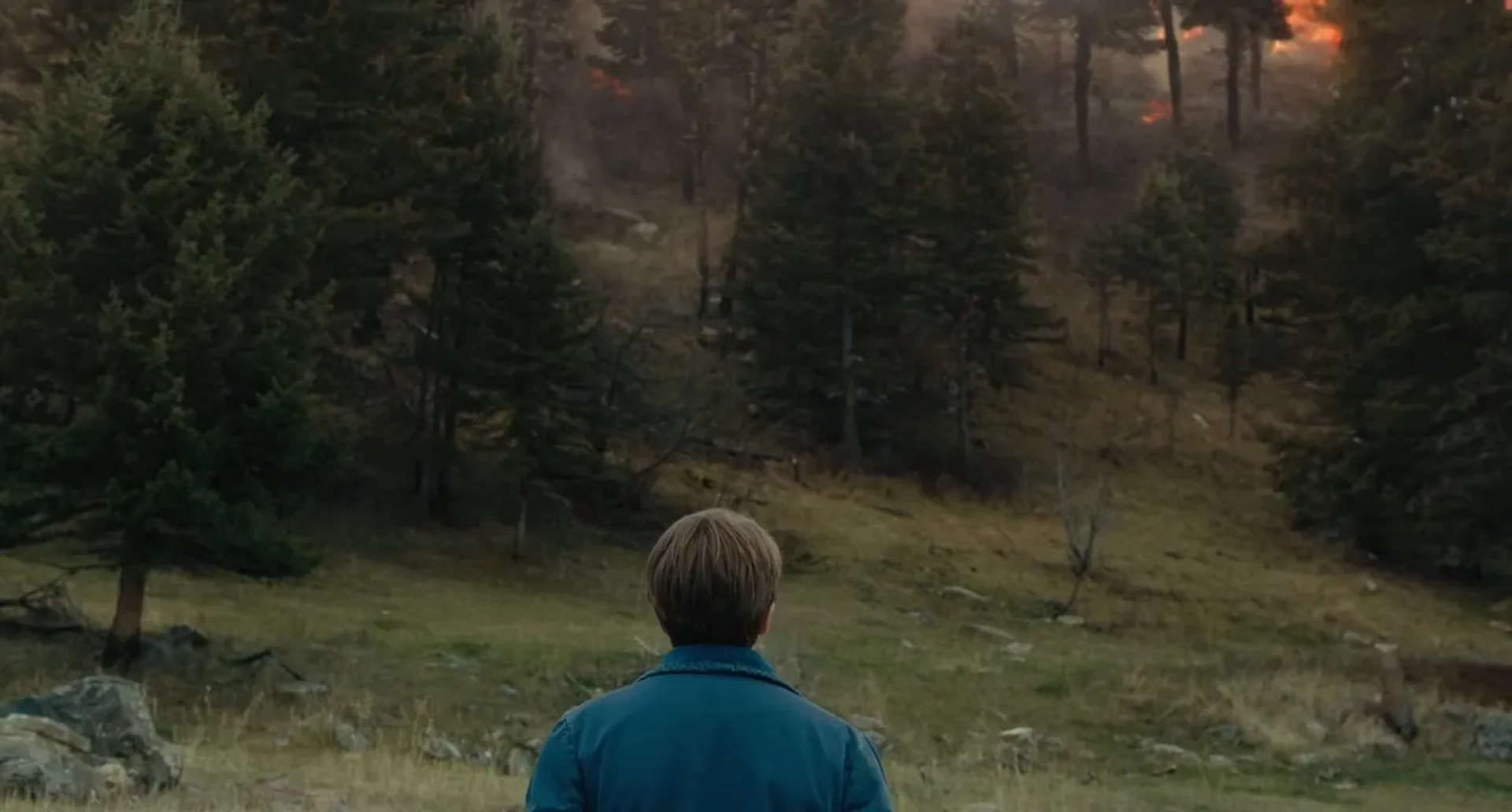 Ed Oxenbould in Wildlife (2018)