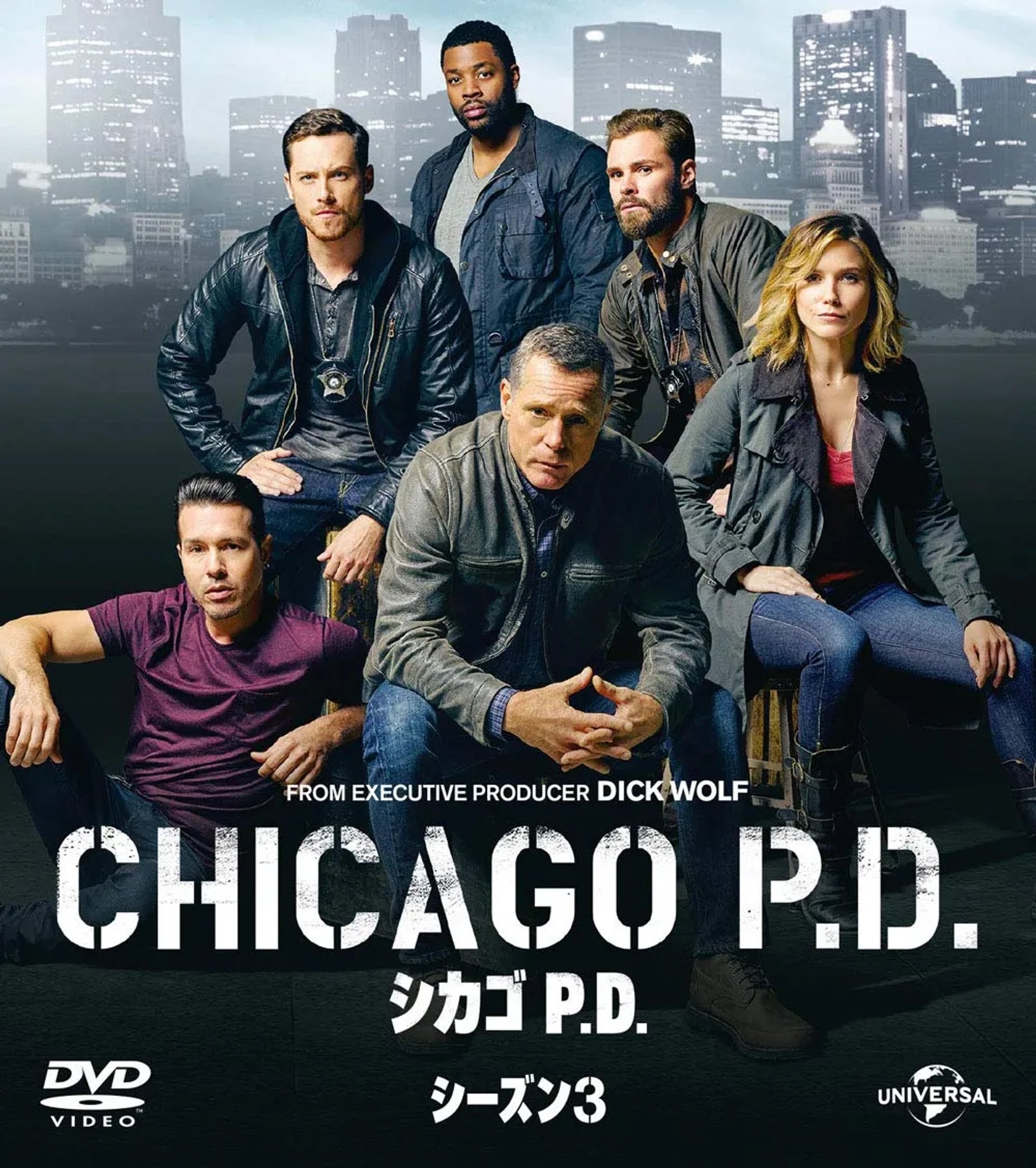 Elias Koteas, Jason Beghe, Sophia Bush, Jesse Lee Soffer, Amy Morton, Jon Seda, Patrick John Flueger, Brian Geraghty, Marina Squerciati, Tracy Spiridakos, and LaRoyce Hawkins in Chicago P.D. (2014)