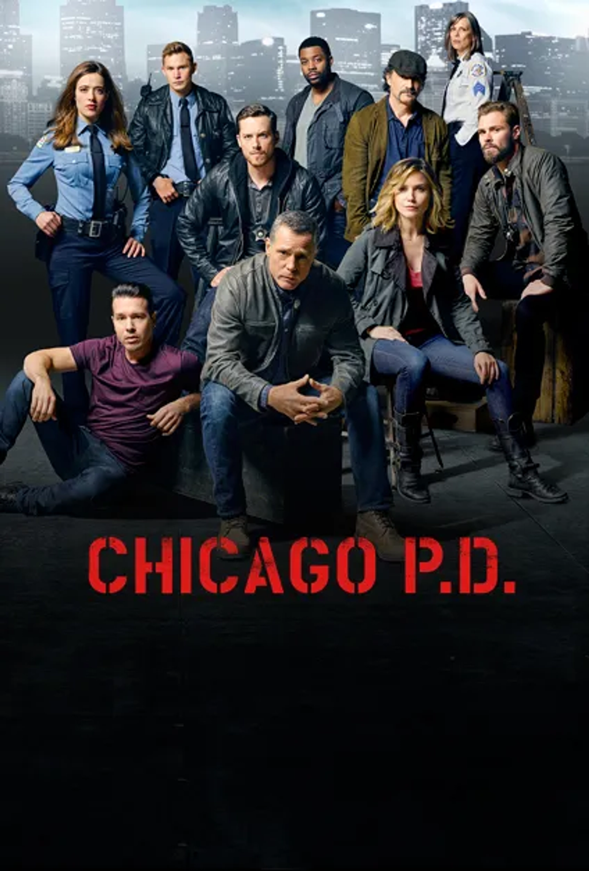 Elias Koteas, Jason Beghe, Sophia Bush, Jesse Lee Soffer, Amy Morton, Jon Seda, Patrick John Flueger, Brian Geraghty, Marina Squerciati, and LaRoyce Hawkins in Chicago P.D. (2014)