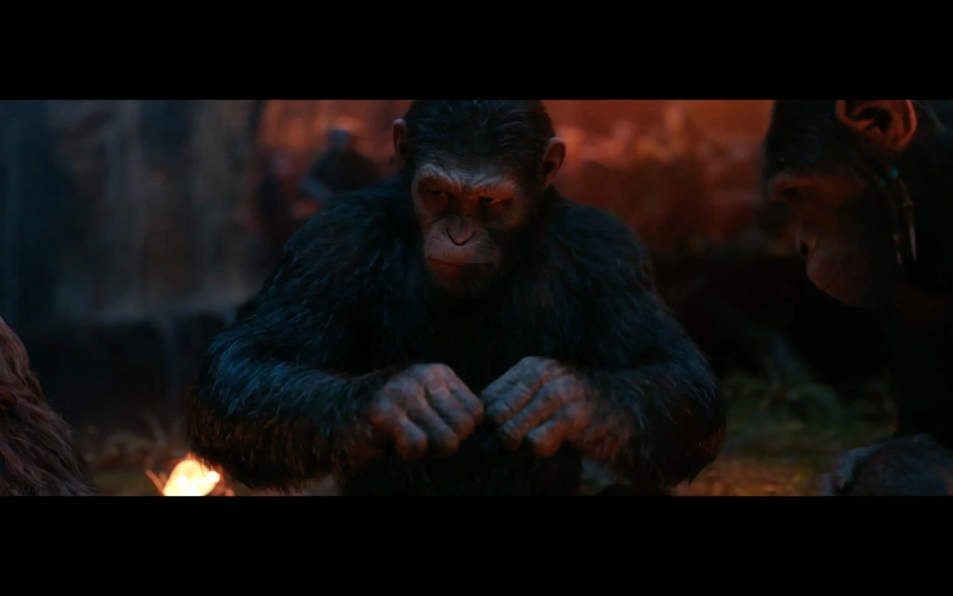 Judy Greer, Karin Konoval, and Andy Serkis in War for the Planet of the Apes (2017)