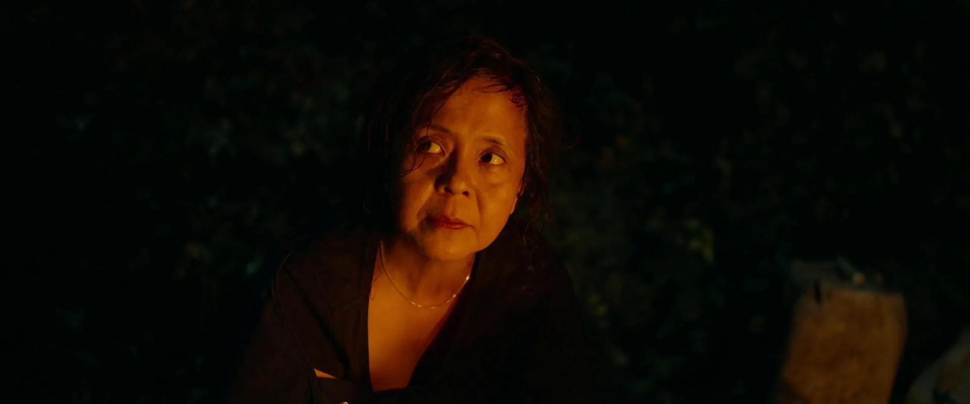 Dolly De Leon in Triangle of Sadness (2022)