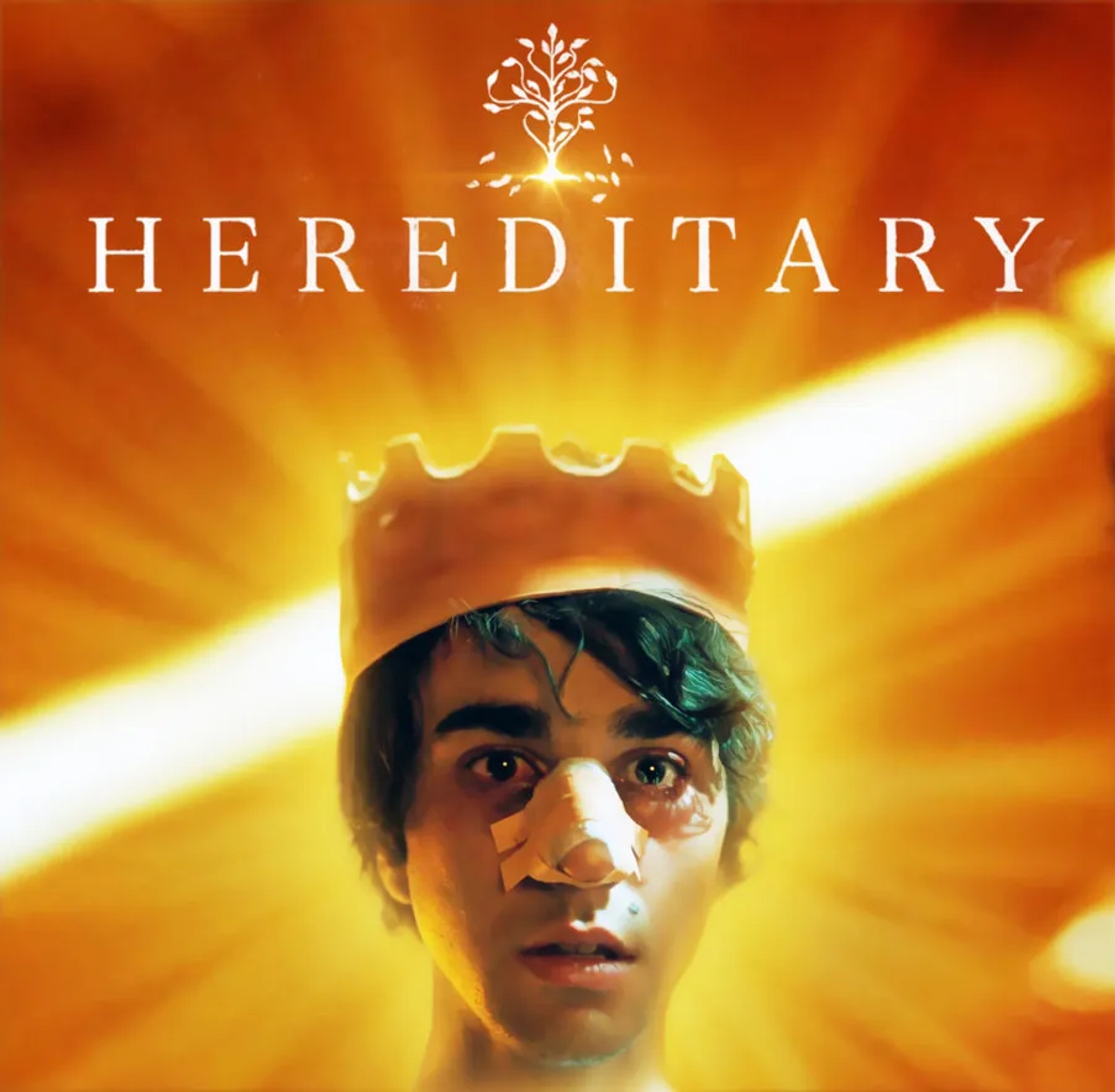 Alex Wolff in Hereditary (2018)