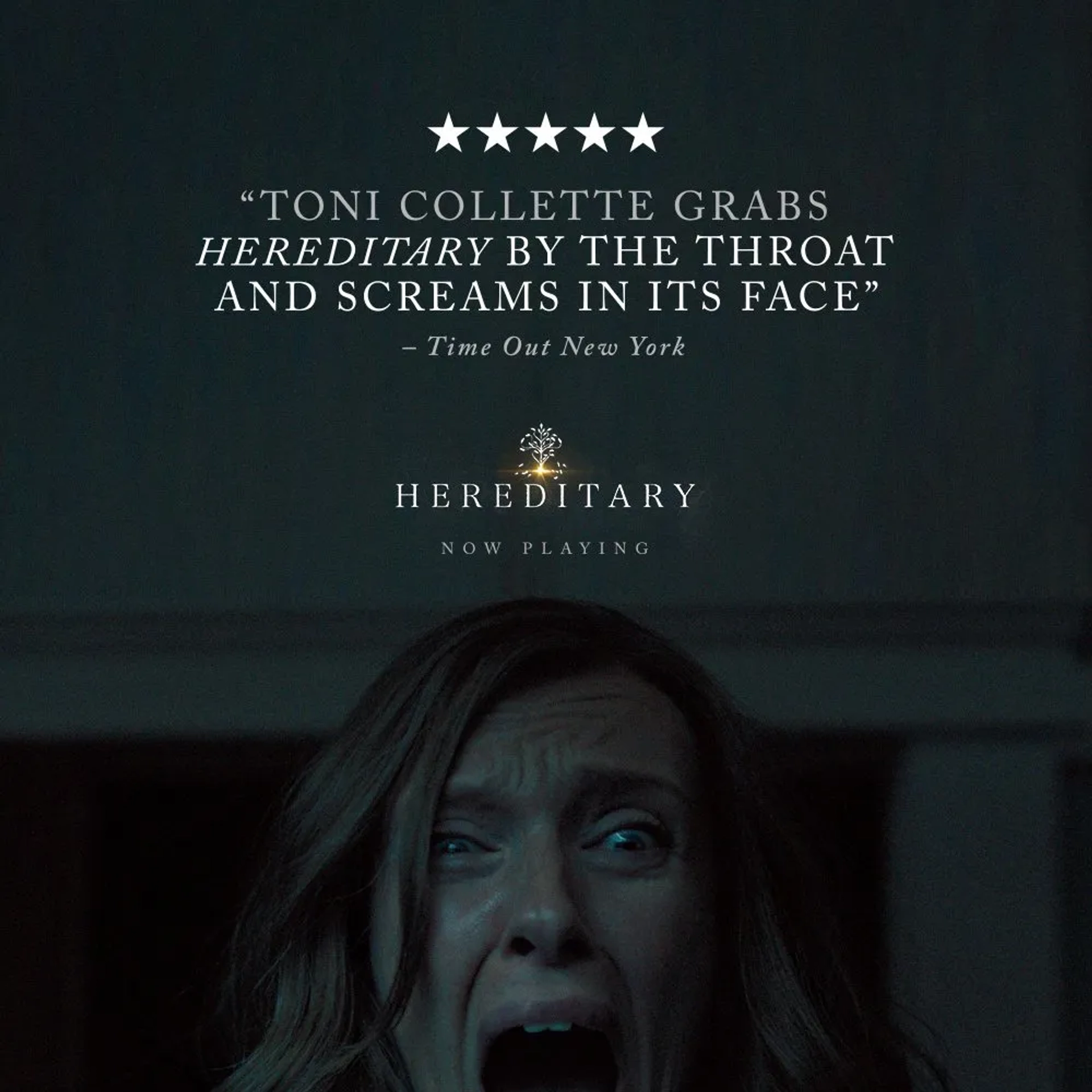 Toni Collette in Hereditary (2018)