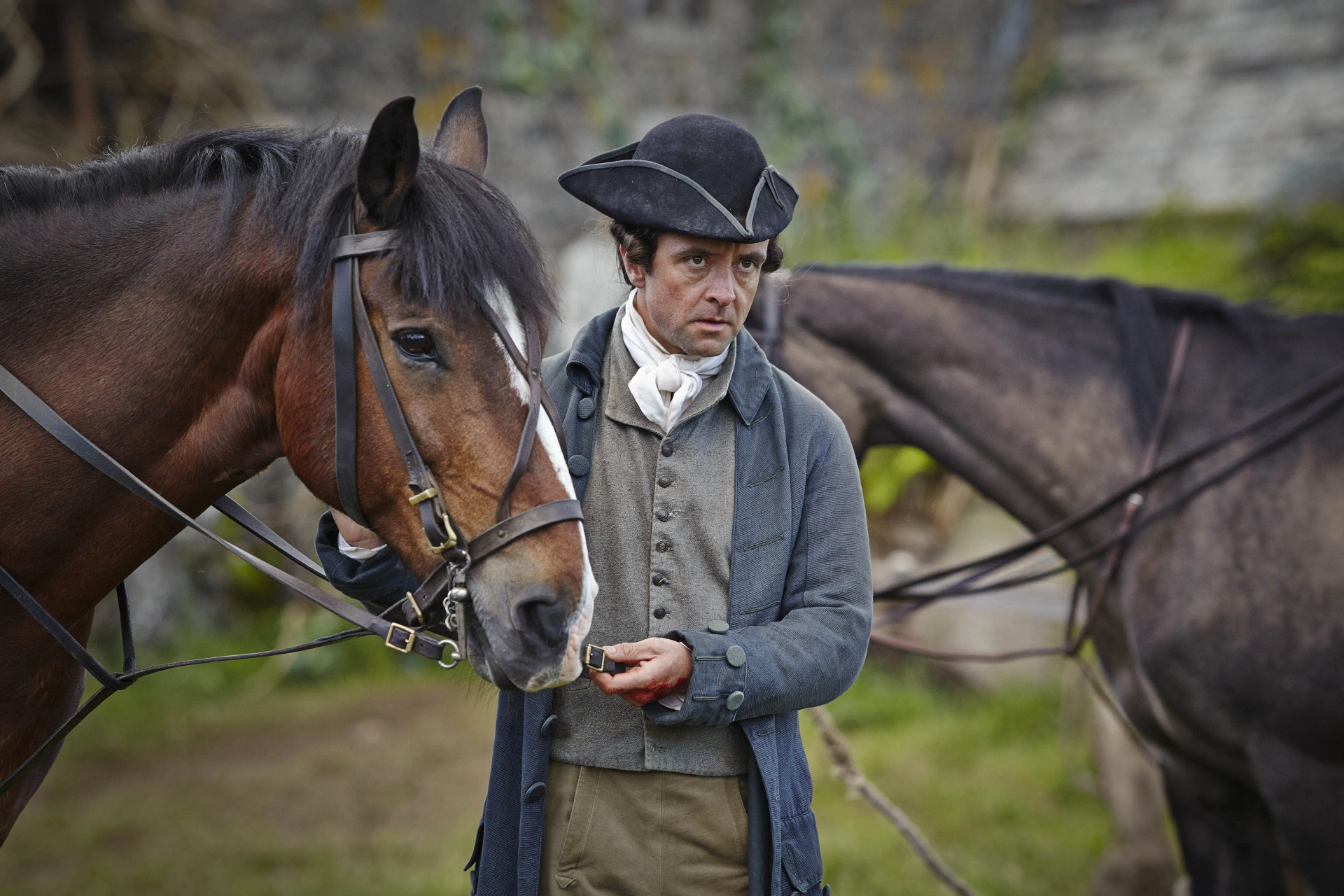 Richard Harrington in Poldark (2015)