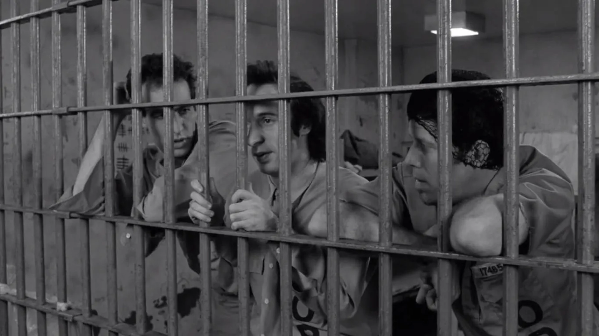 Roberto Benigni, Tom Waits, and John Lurie in Down by Law (1986)