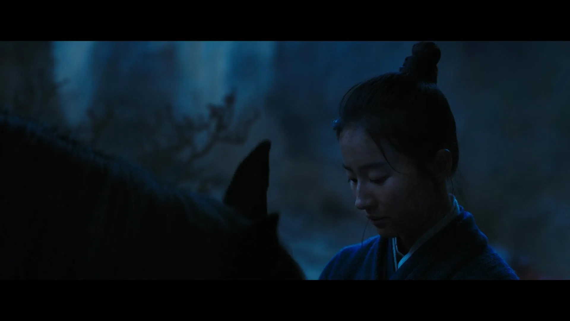 Liu Yifei in Mulan (2020)