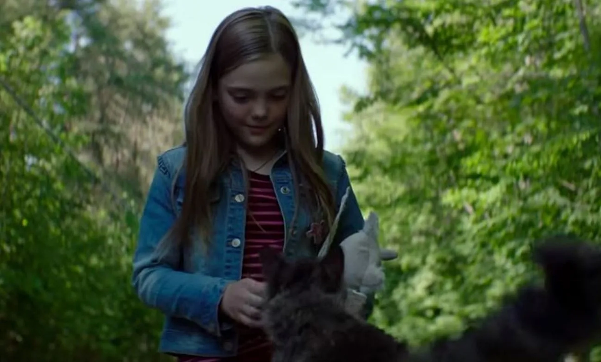 Jeté Laurence in Pet Sematary (2019)